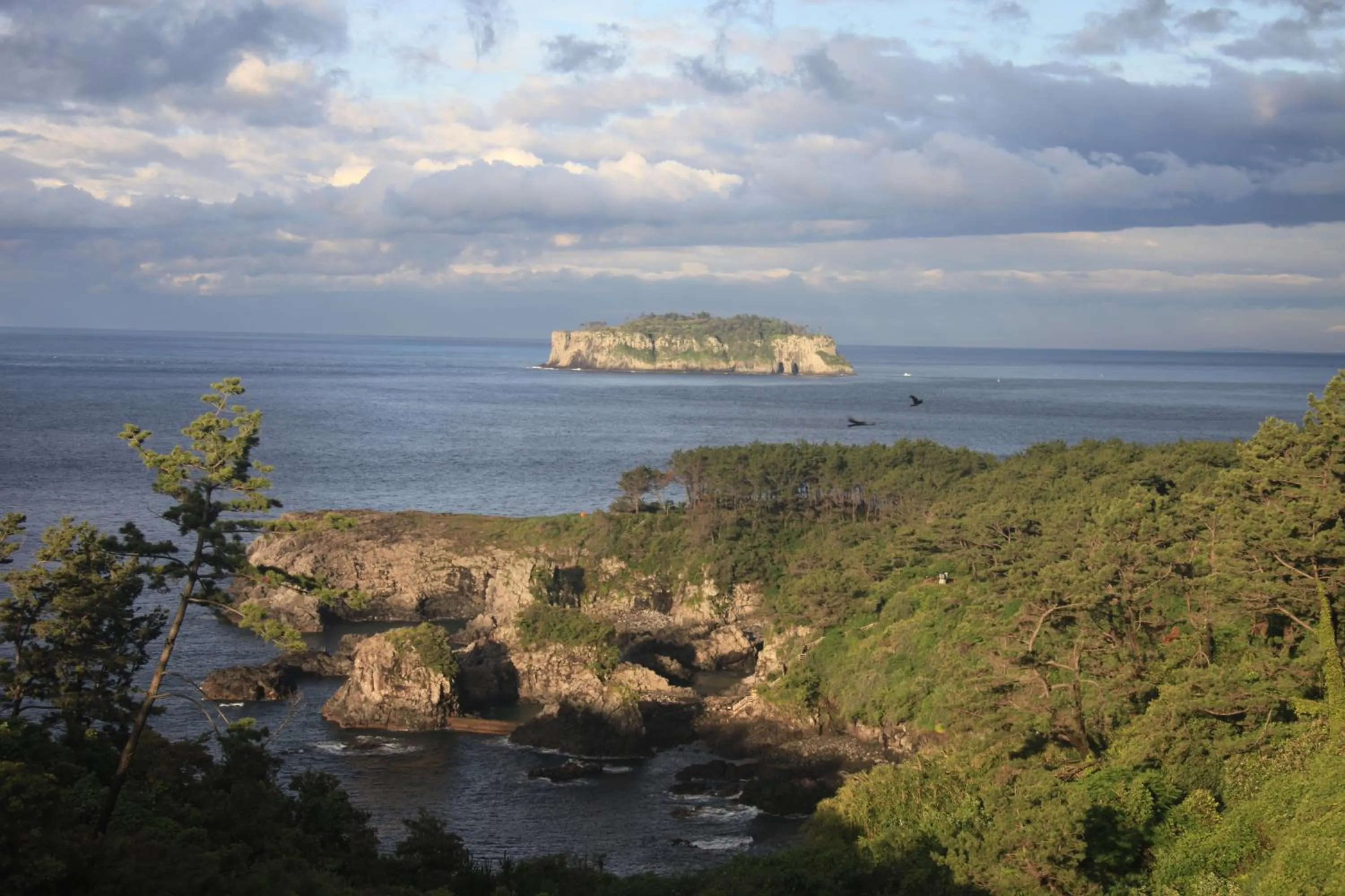 Natural landscape in Good Day Pension
