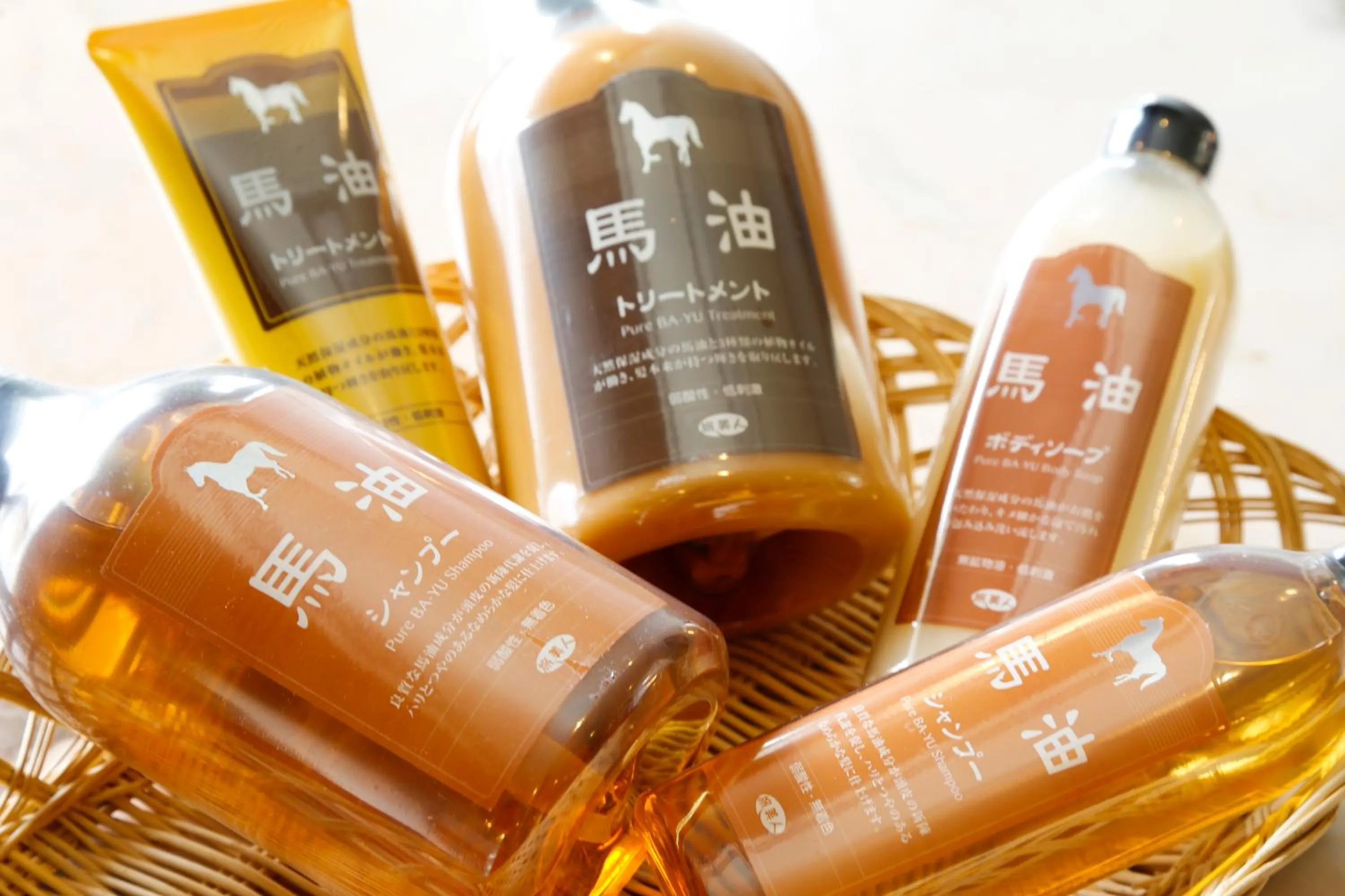 Shopping Area in Resorpia Kumihama