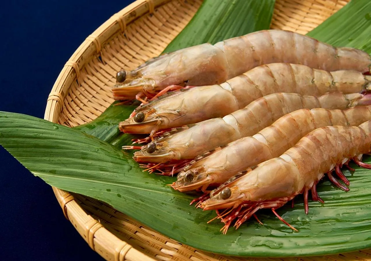 Food and drinks in Shinwaka Lodge