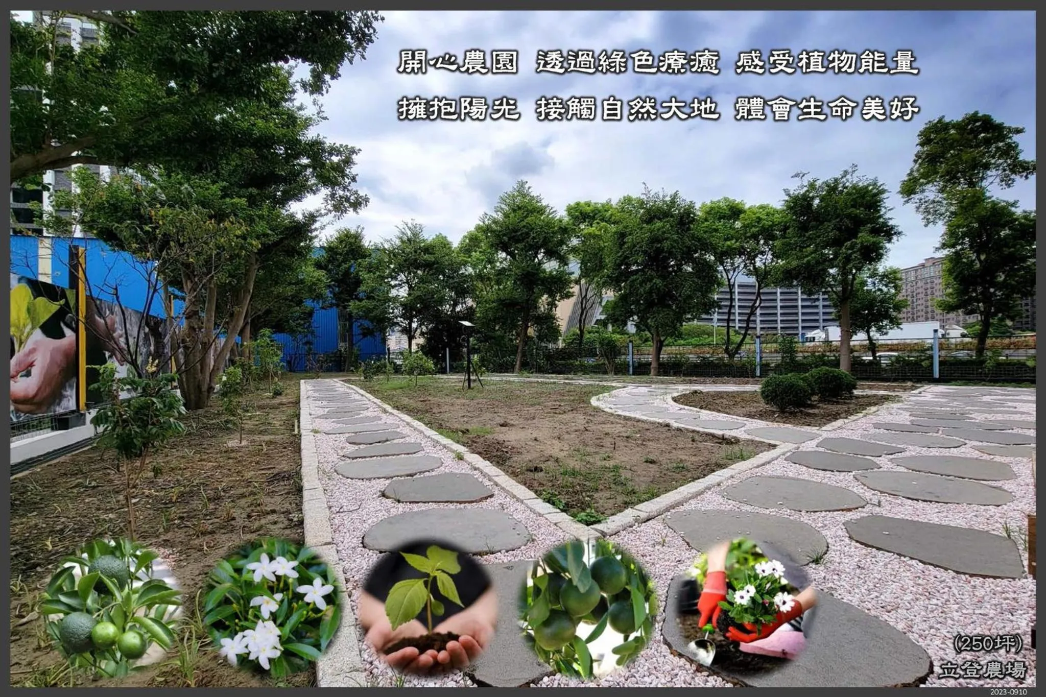 Garden in Freedom Design Hotel