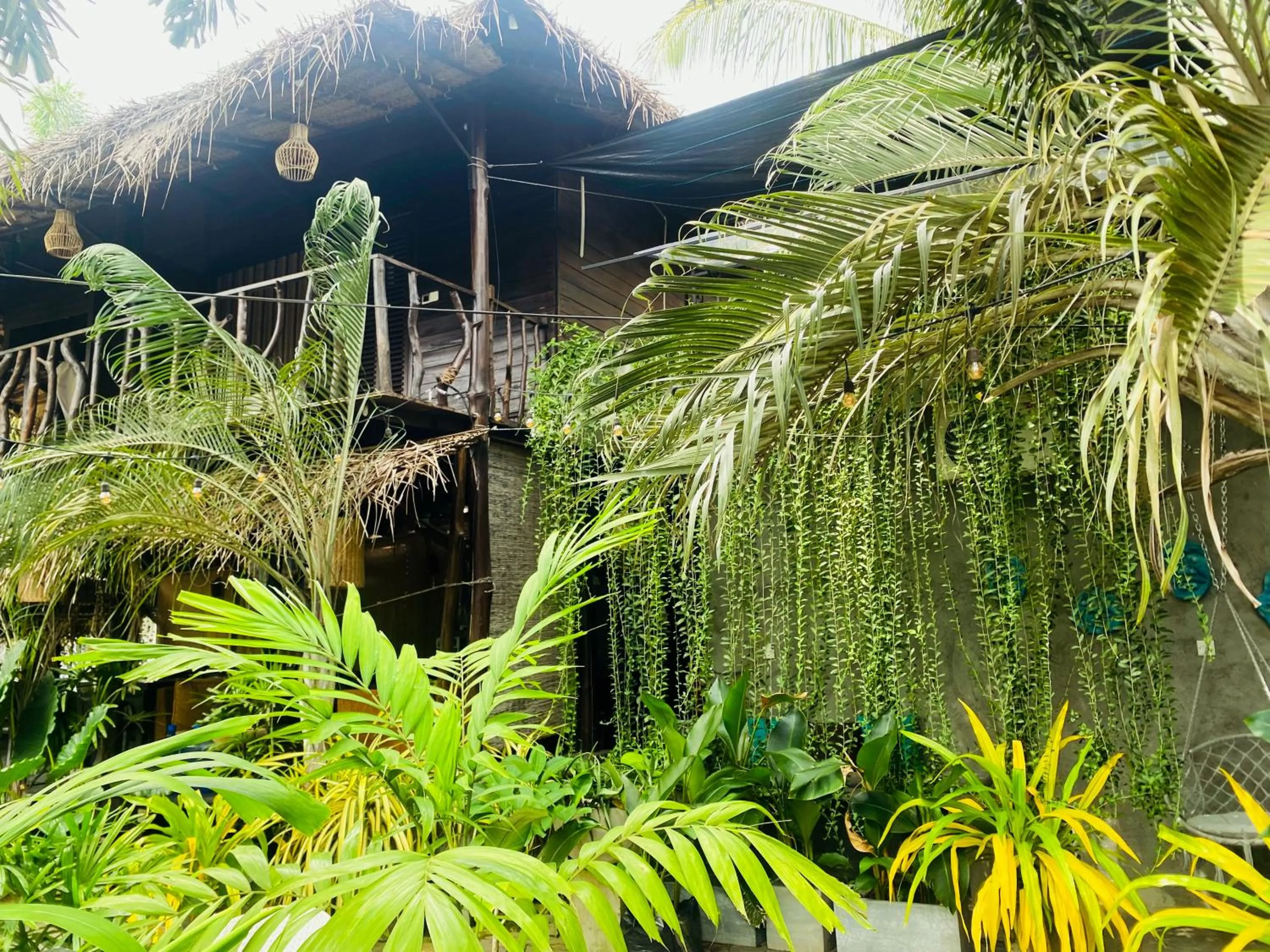 Coco Palm Villa and Cabanas