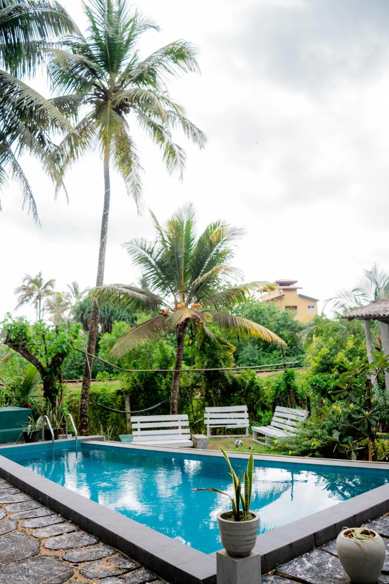 Natural landscape in Asanka Surf House & Restaurant with pool