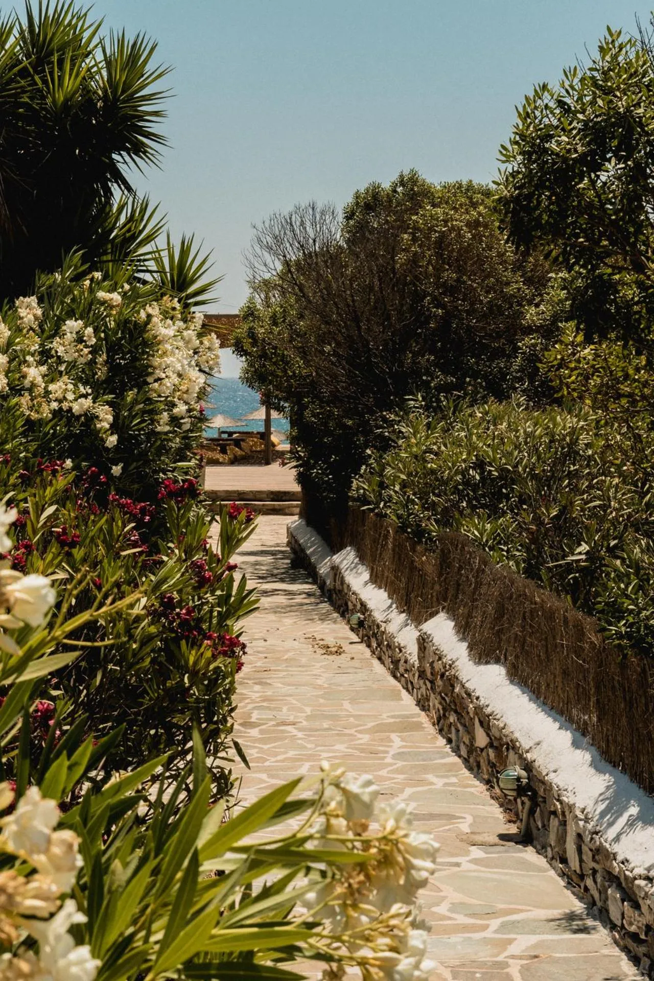 Garden in Soros Beach Antiparos