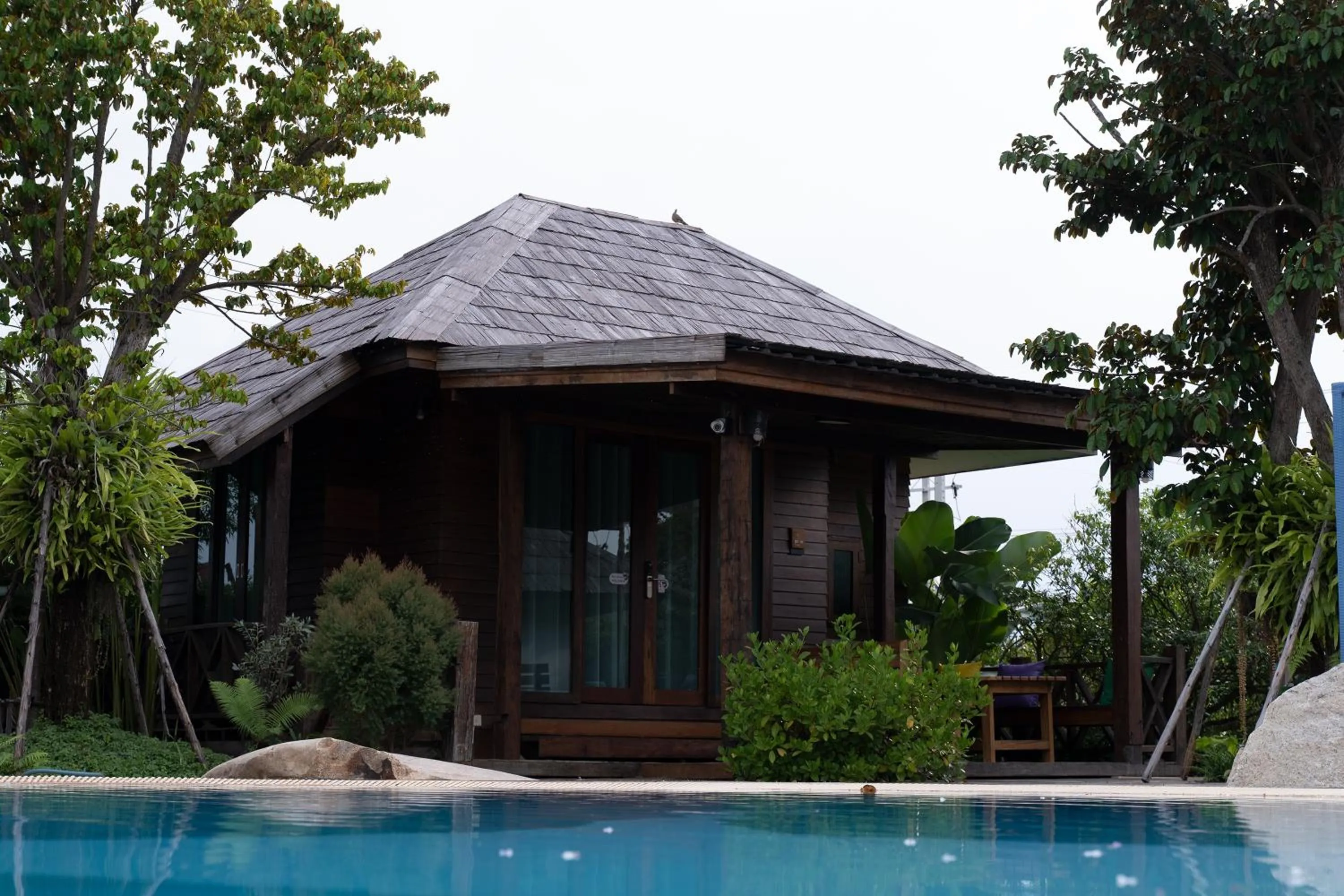 Swimming pool in Buffalo Island Resort