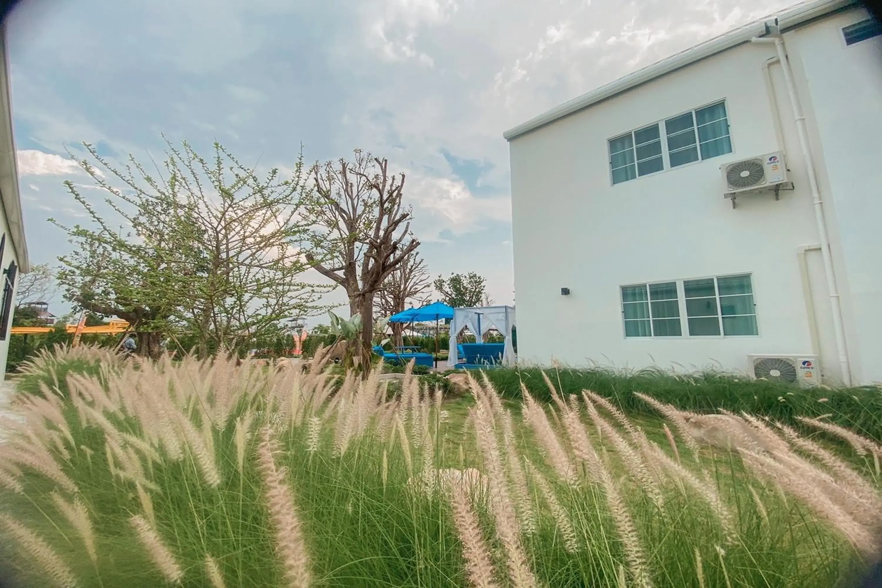Garden view in Buffalo Island Resort Garden view in Buffalo Island Resort