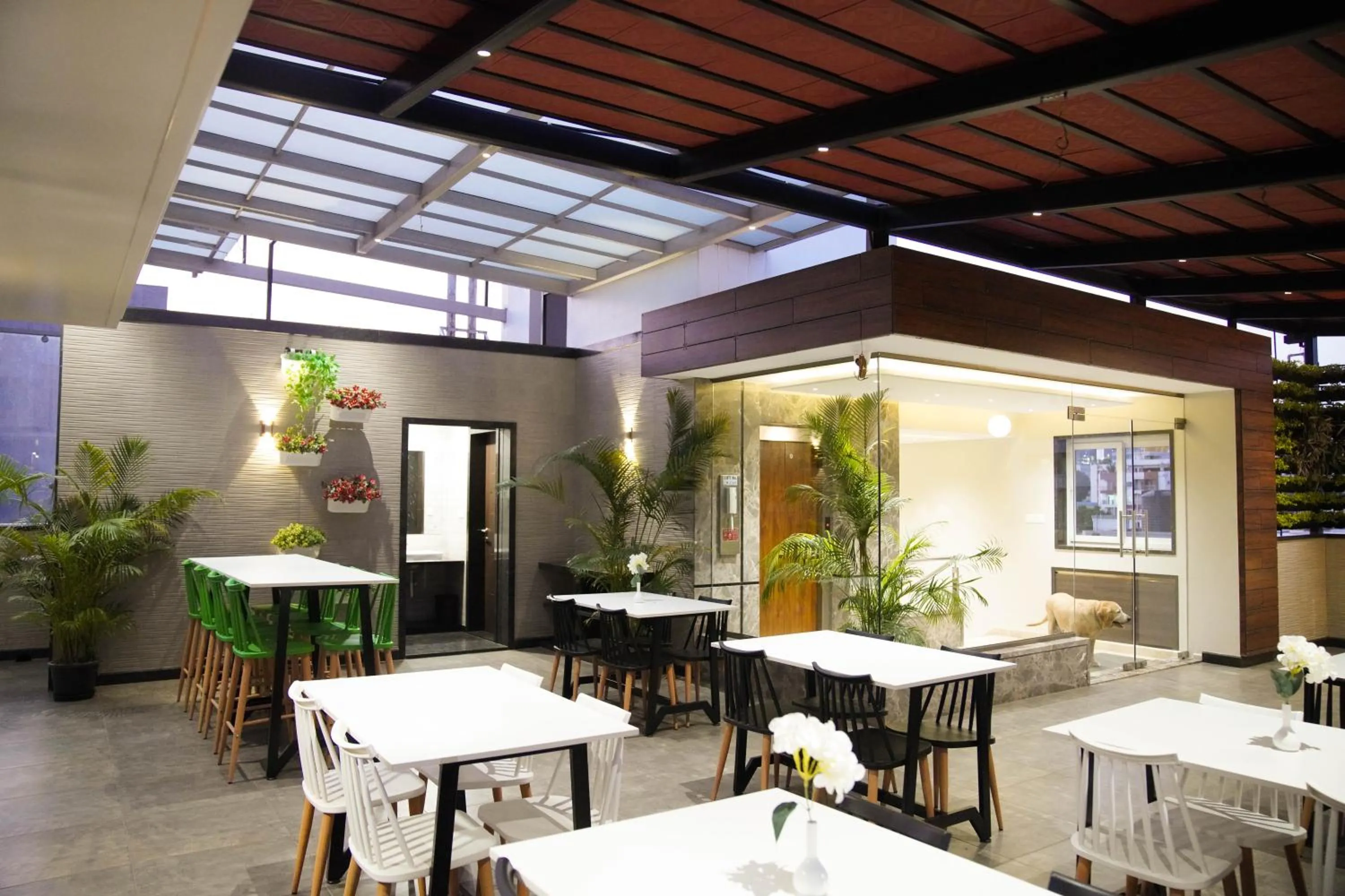 Lounge or bar in Sun Shine Hotel