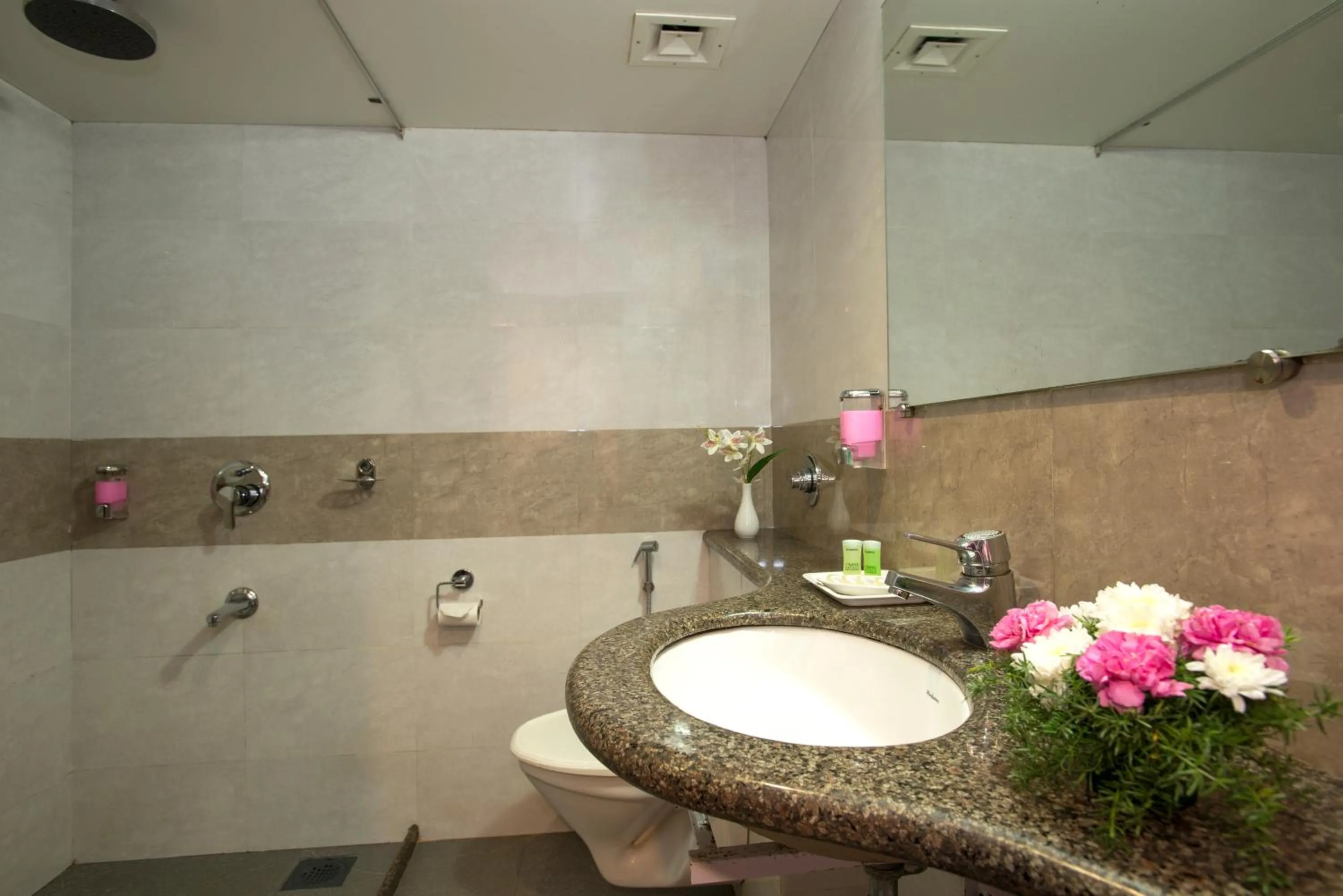 Toilet in Nanutel Margao