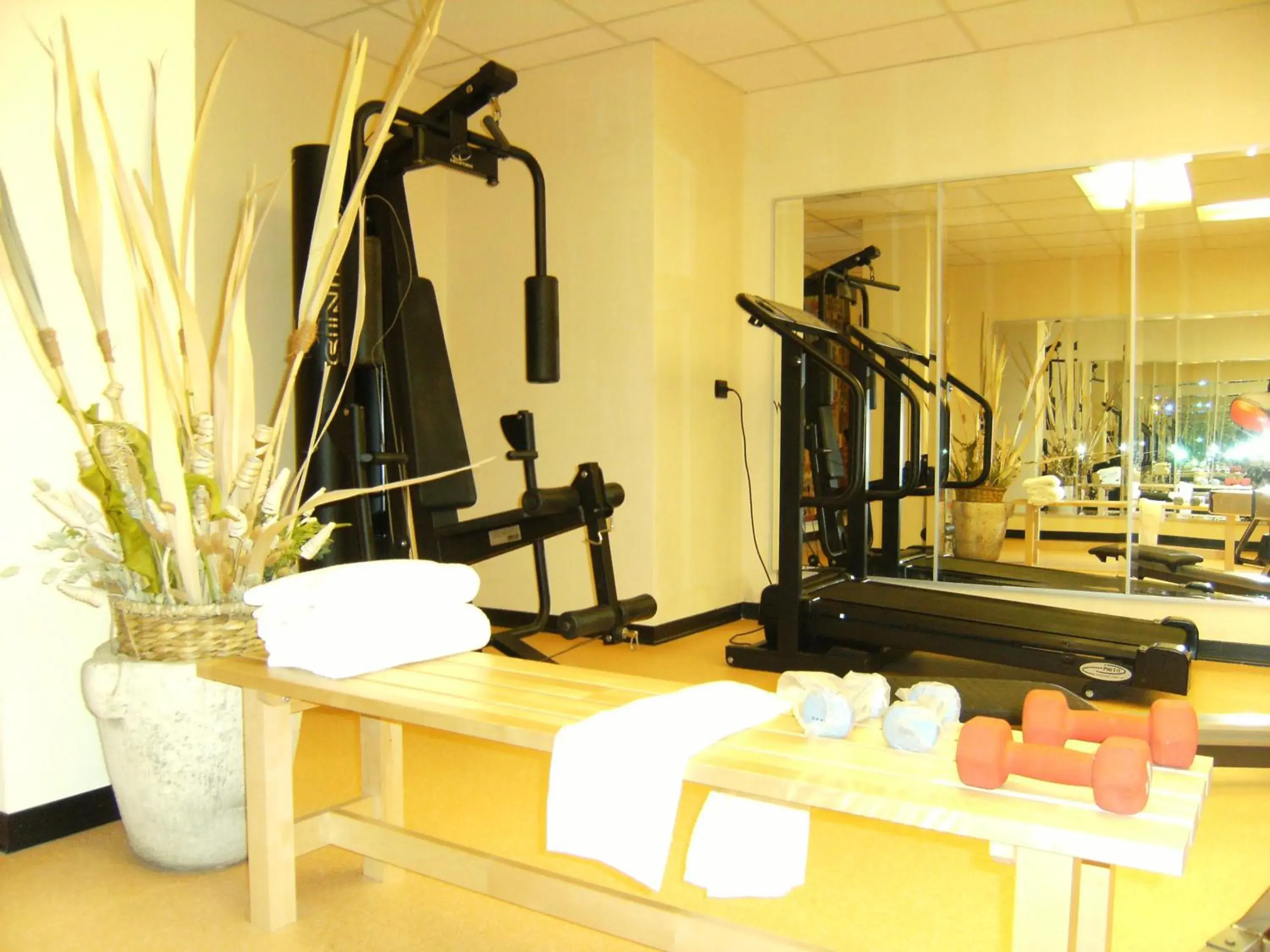 Fitness centre/facilities in Hotel Europa Fitness centre/facilities in Hotel Europa