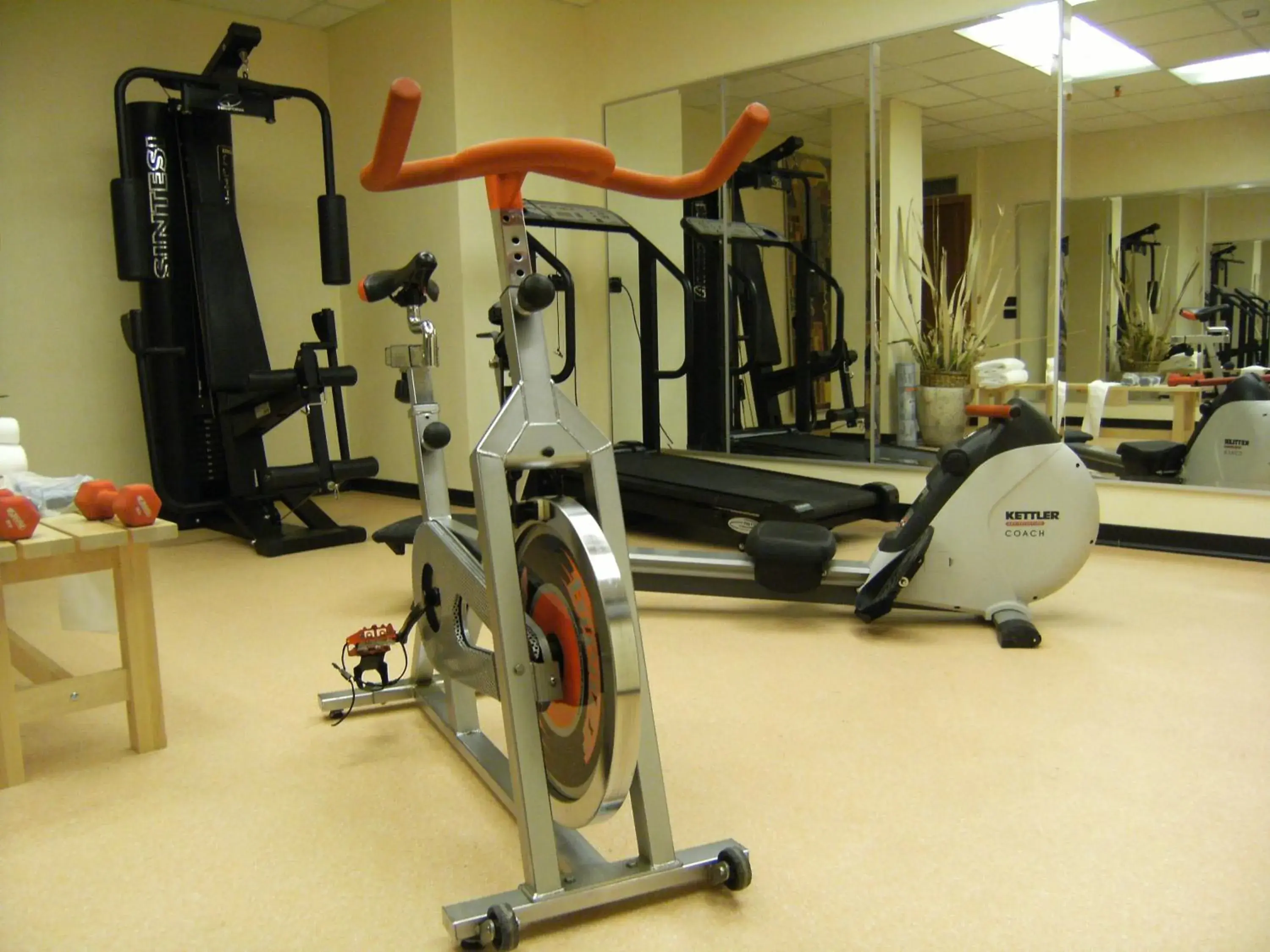 Fitness centre/facilities in Hotel Europa Fitness centre/facilities in Hotel Europa