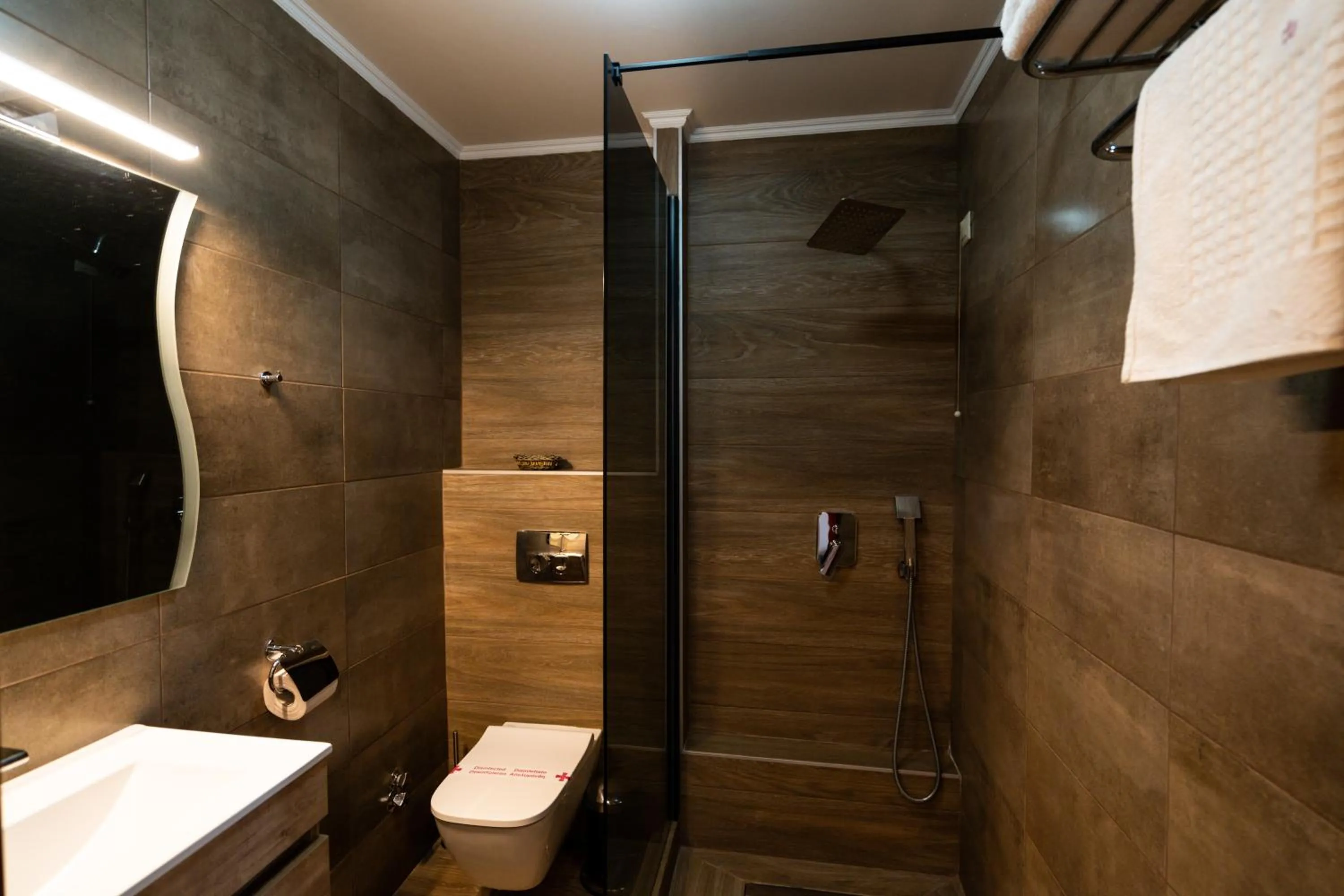 Shower in Hotel Epavlis
