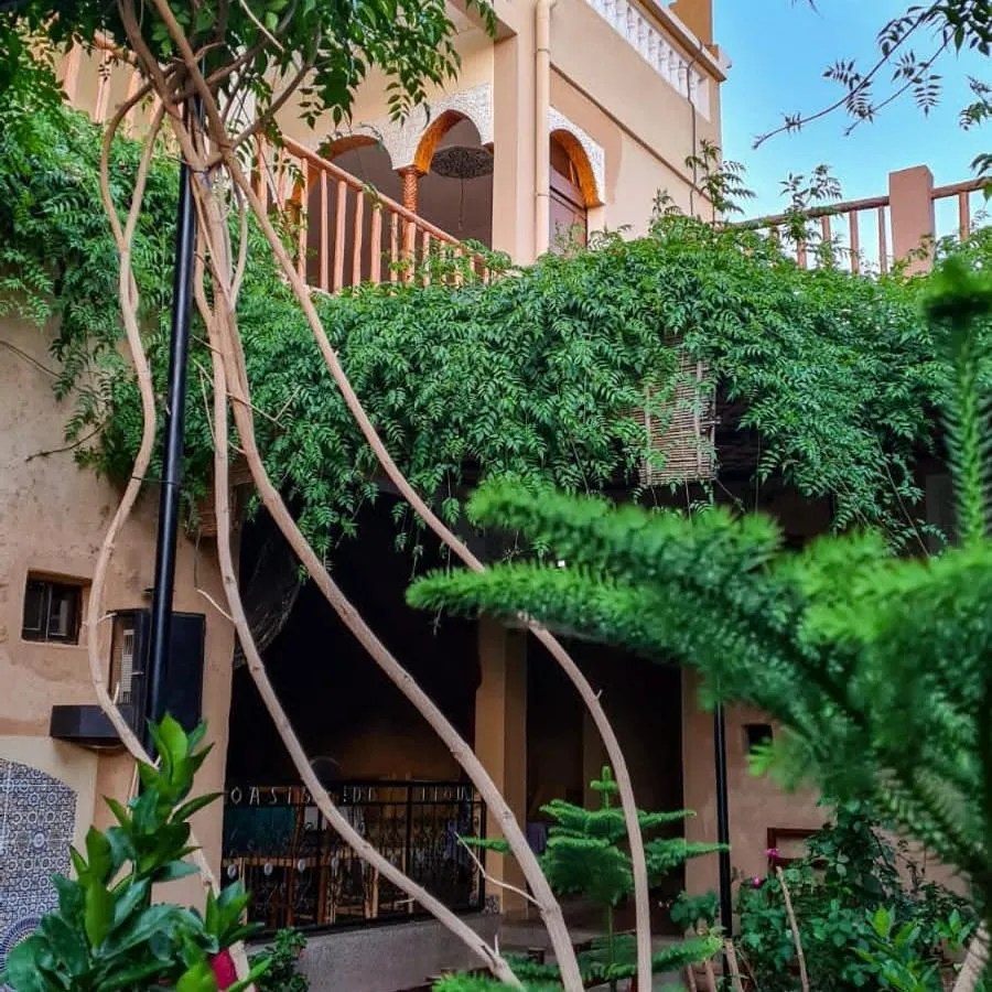 Oasis de Tiout