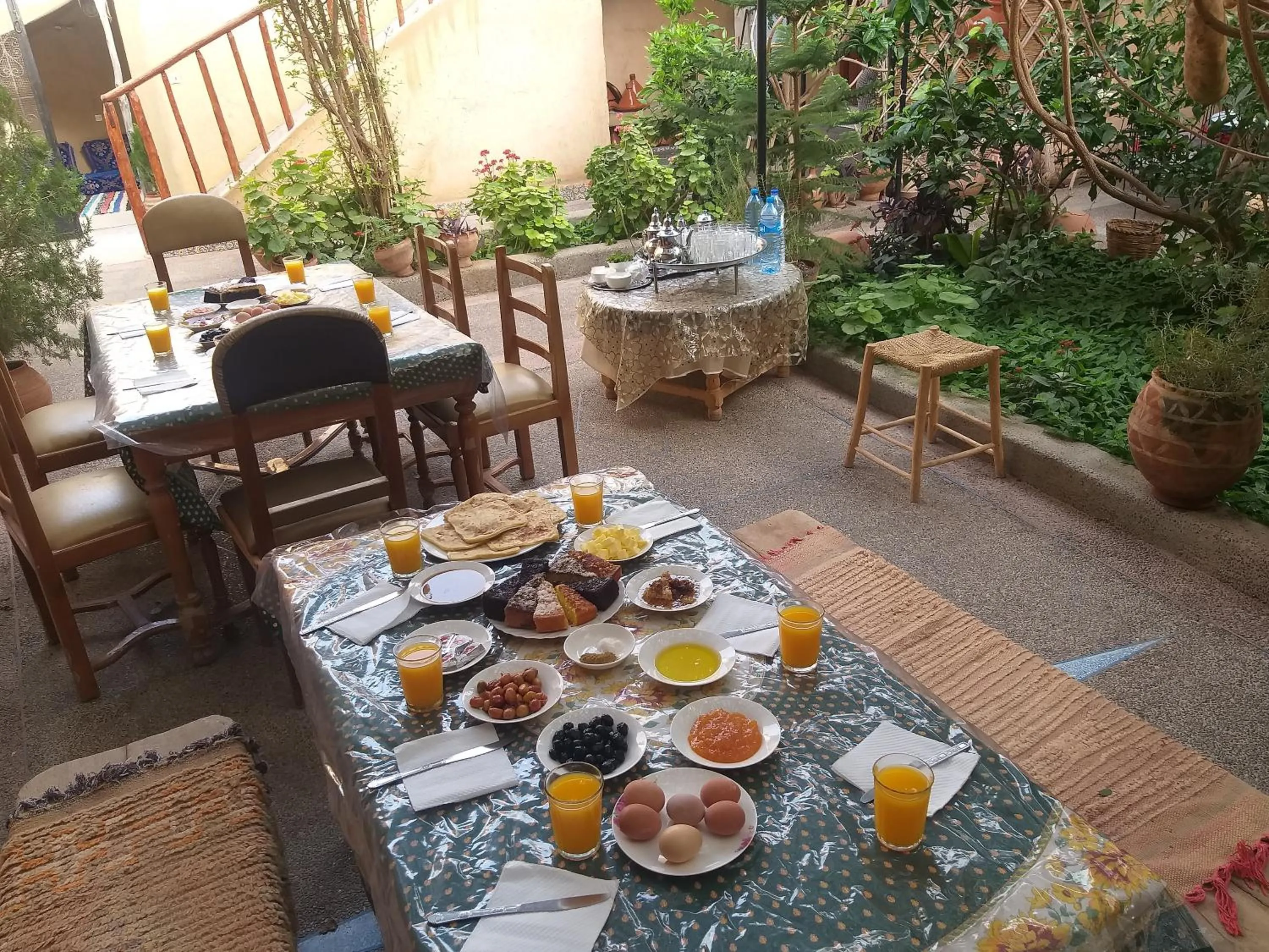 Oasis de Tiout