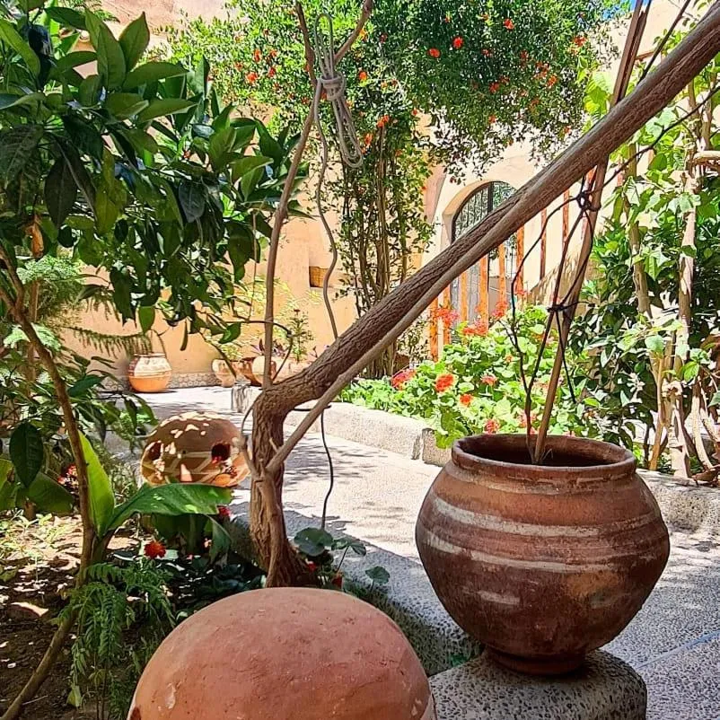 Oasis de Tiout