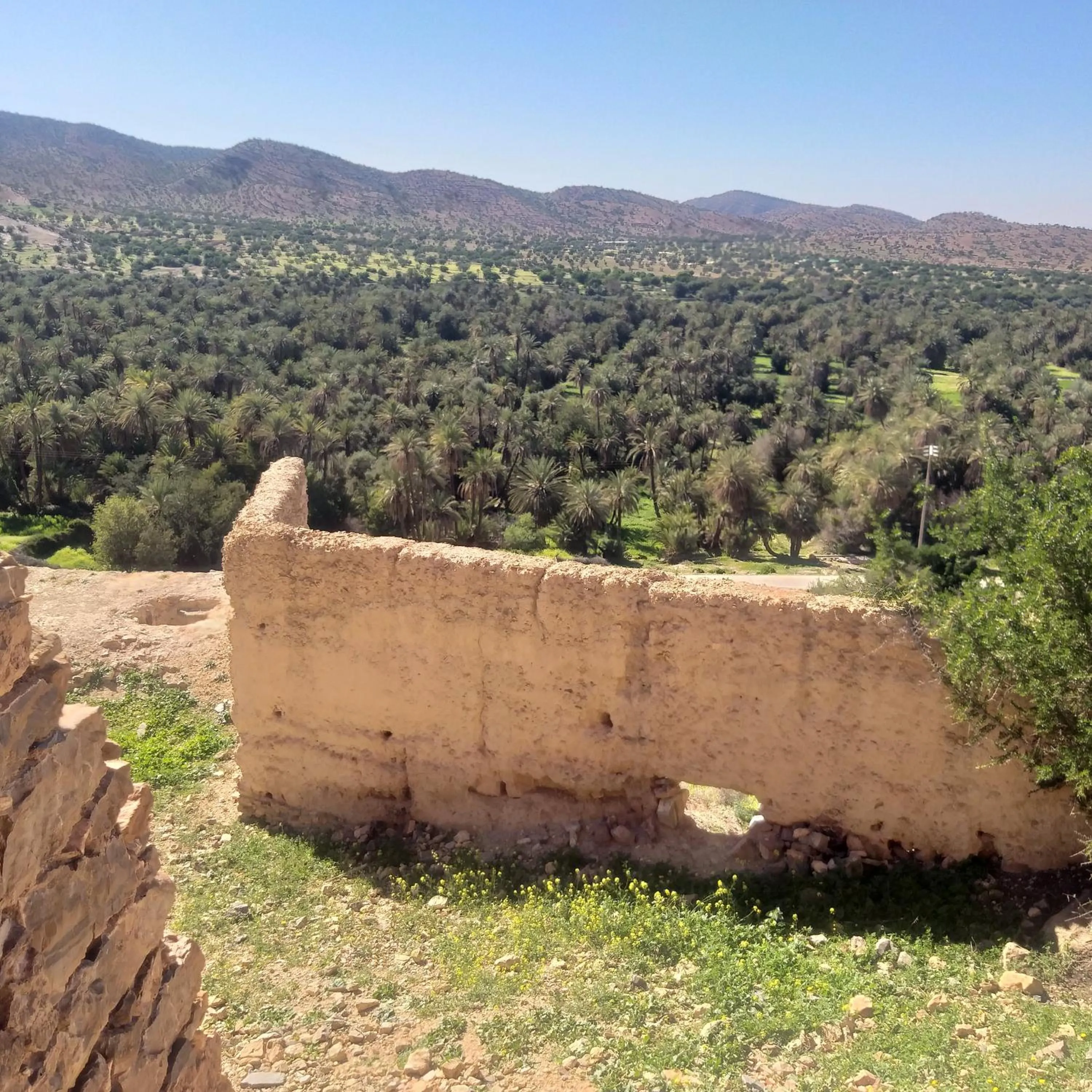 Oasis de Tiout