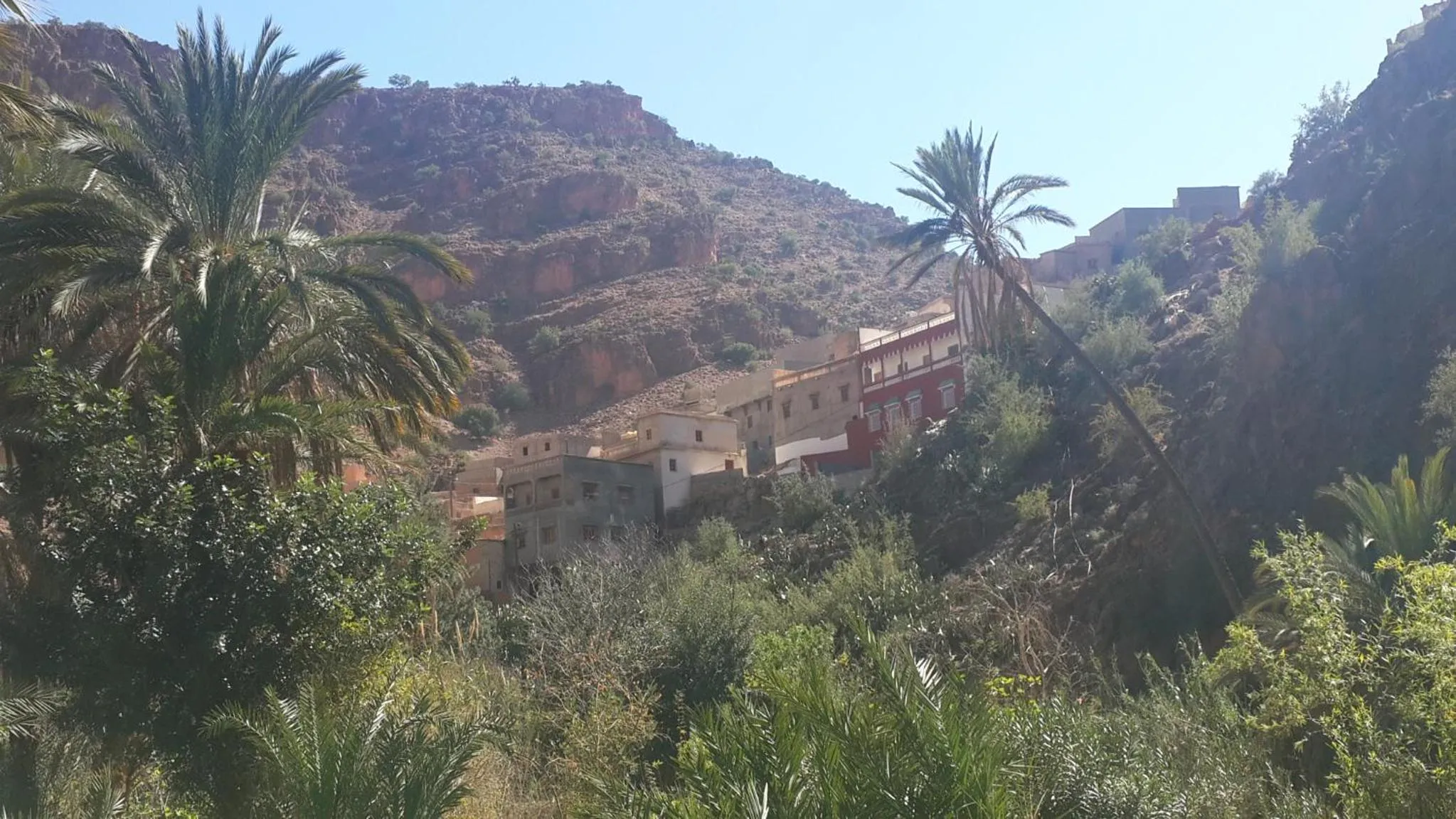 Oasis de Tiout