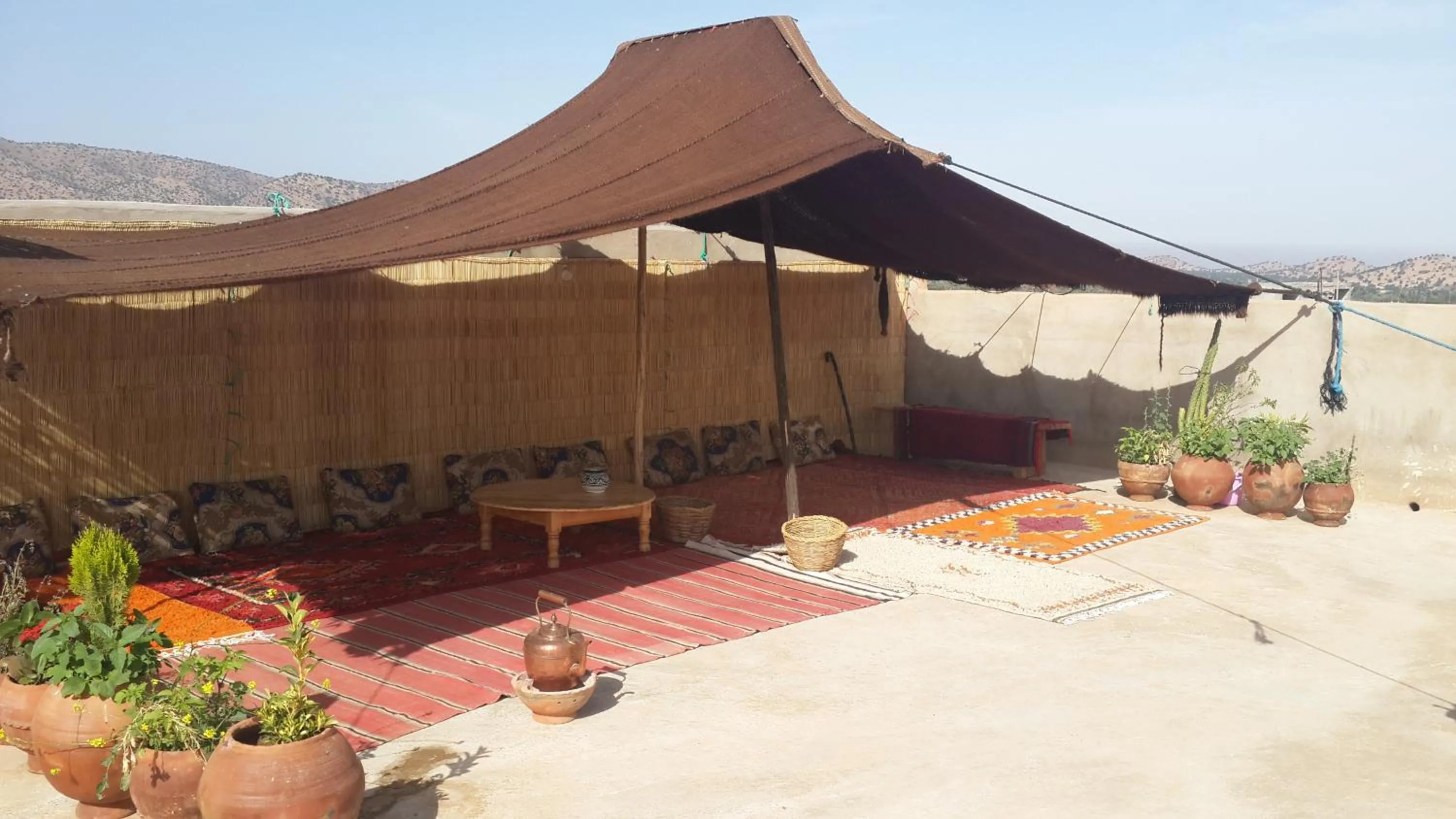 Oasis de Tiout