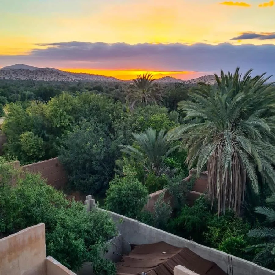 Oasis de Tiout