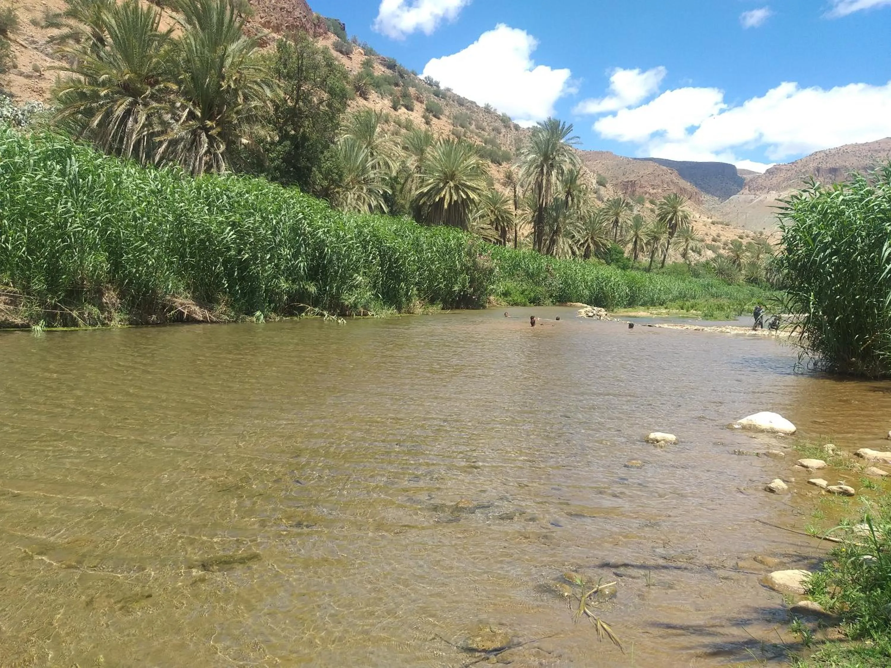 Oasis de Tiout