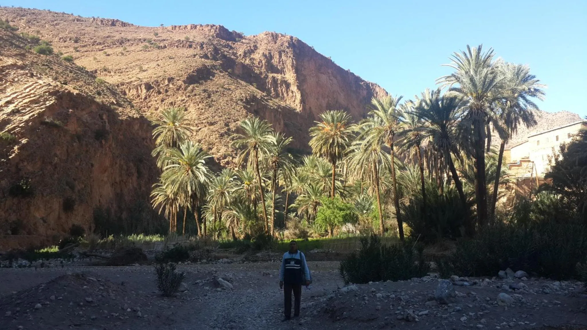 Oasis de Tiout