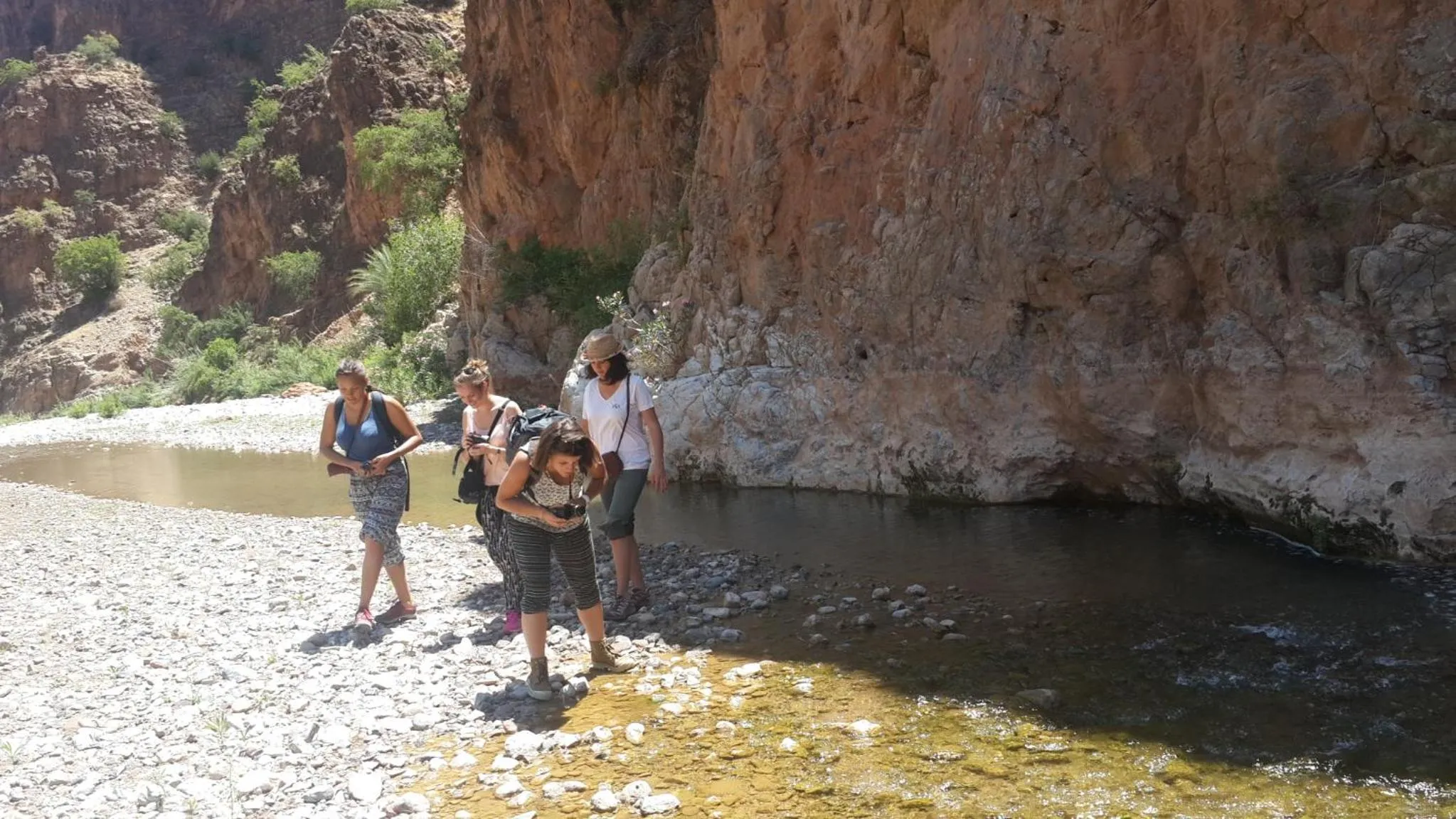 Oasis de Tiout