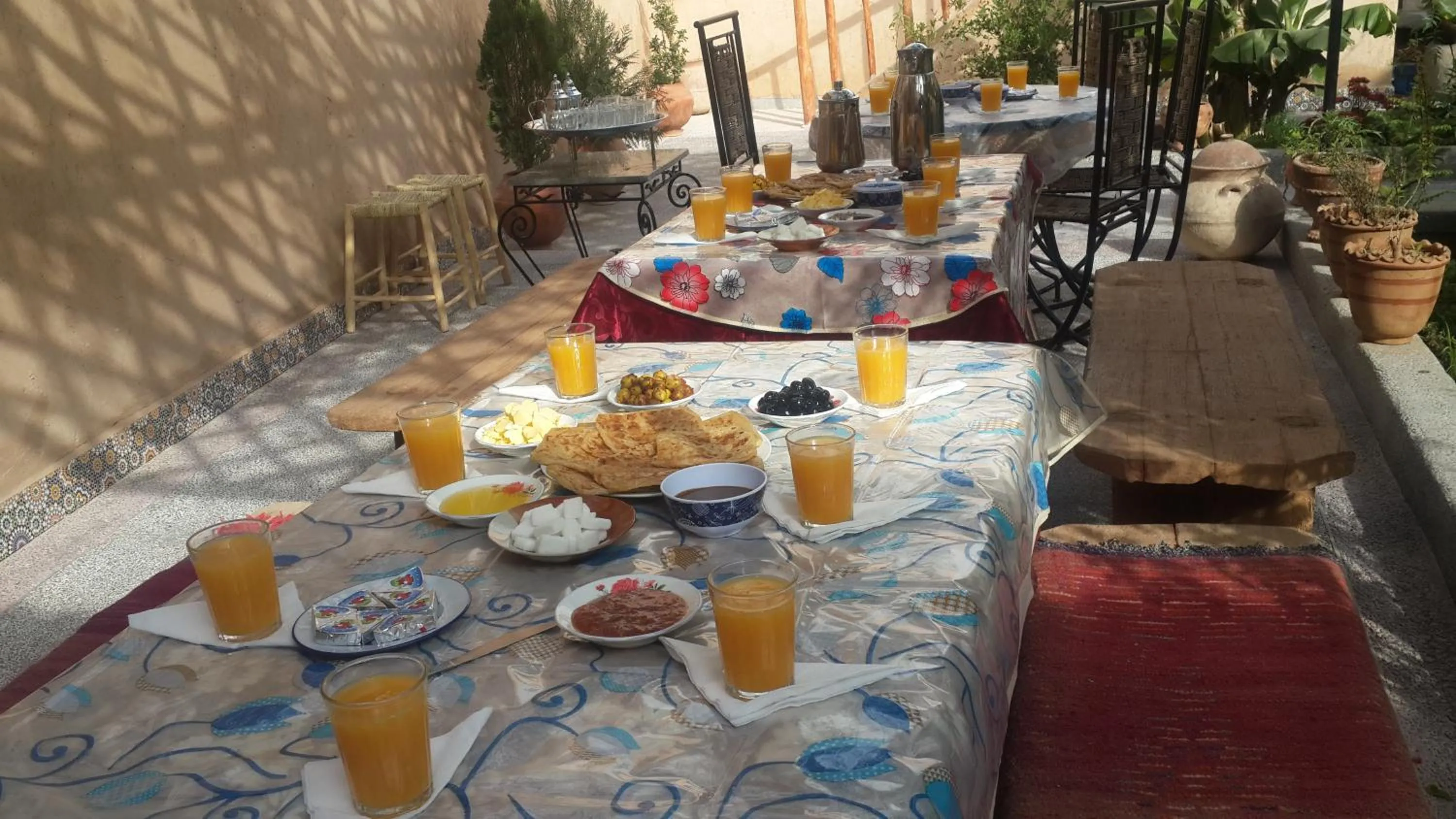 Oasis de Tiout