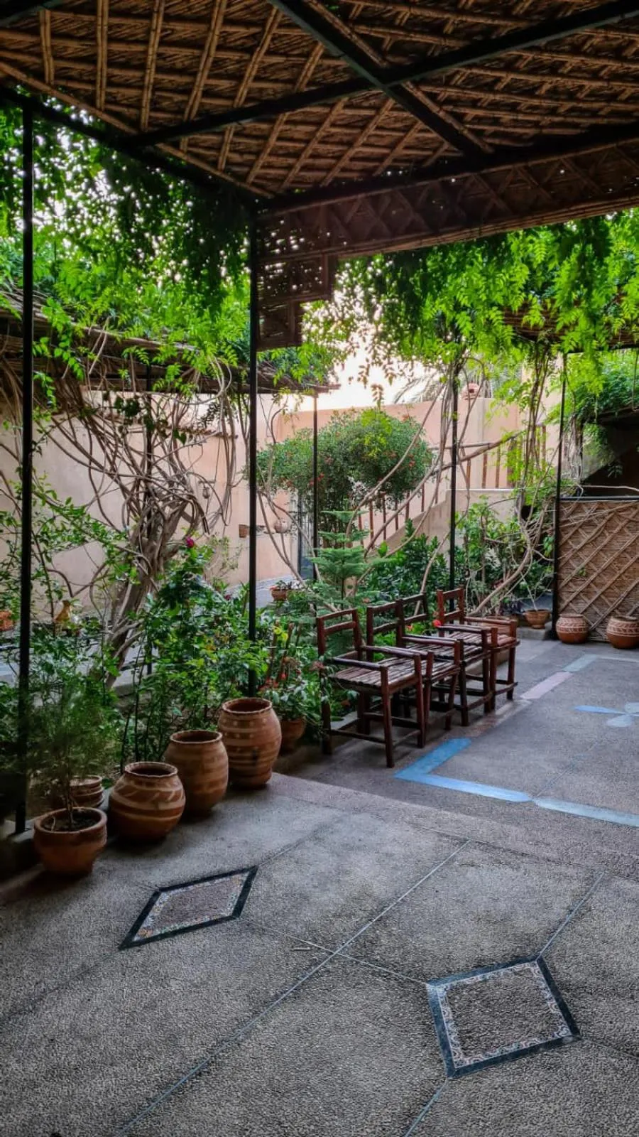 Oasis de Tiout