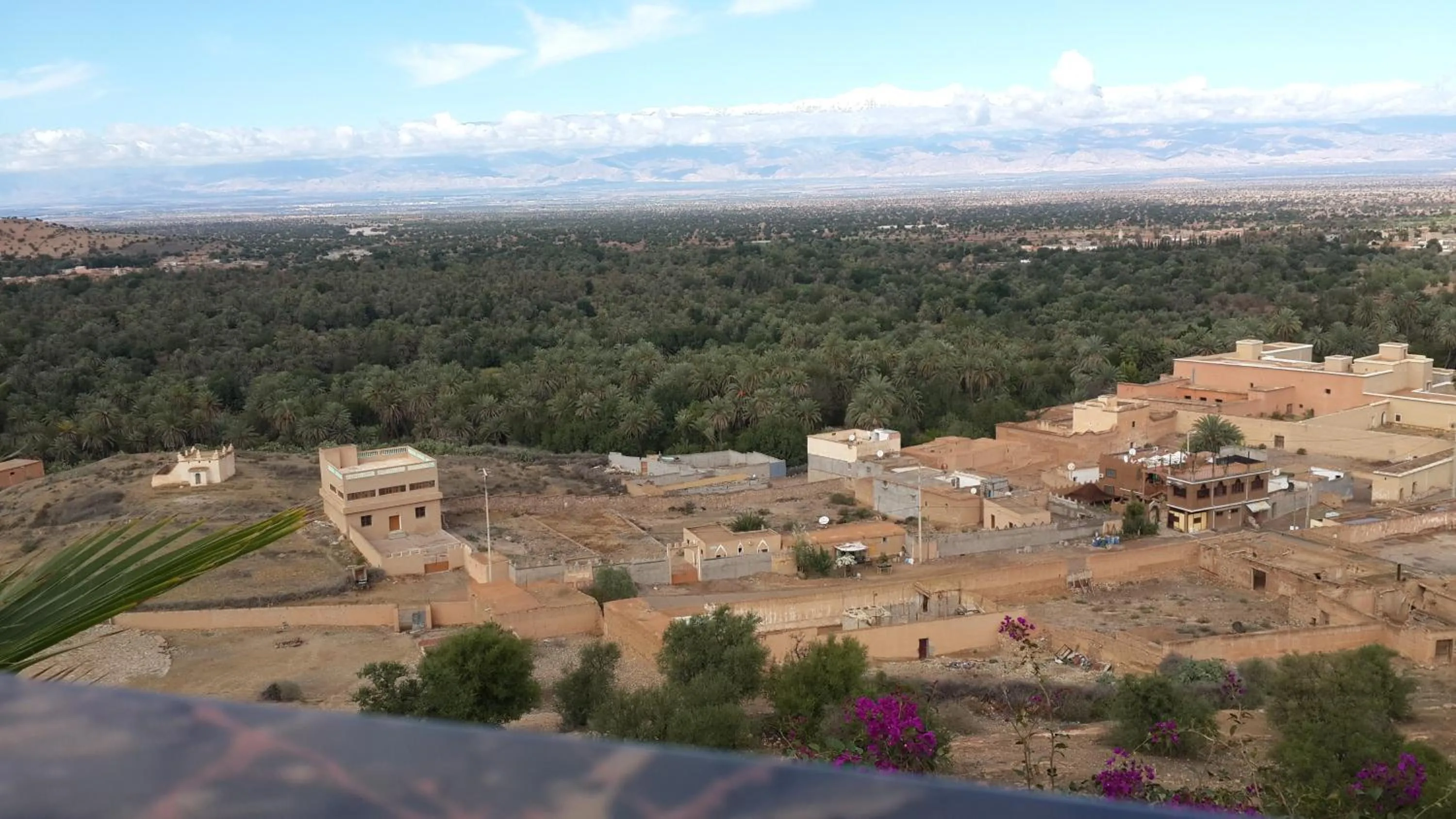 Oasis de Tiout
