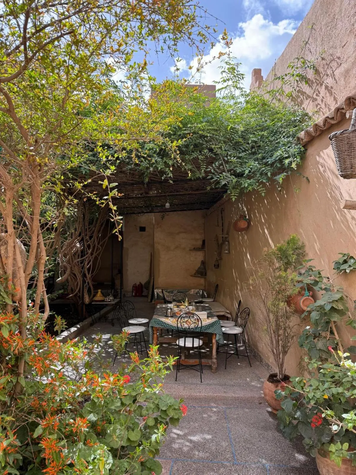 Oasis de Tiout