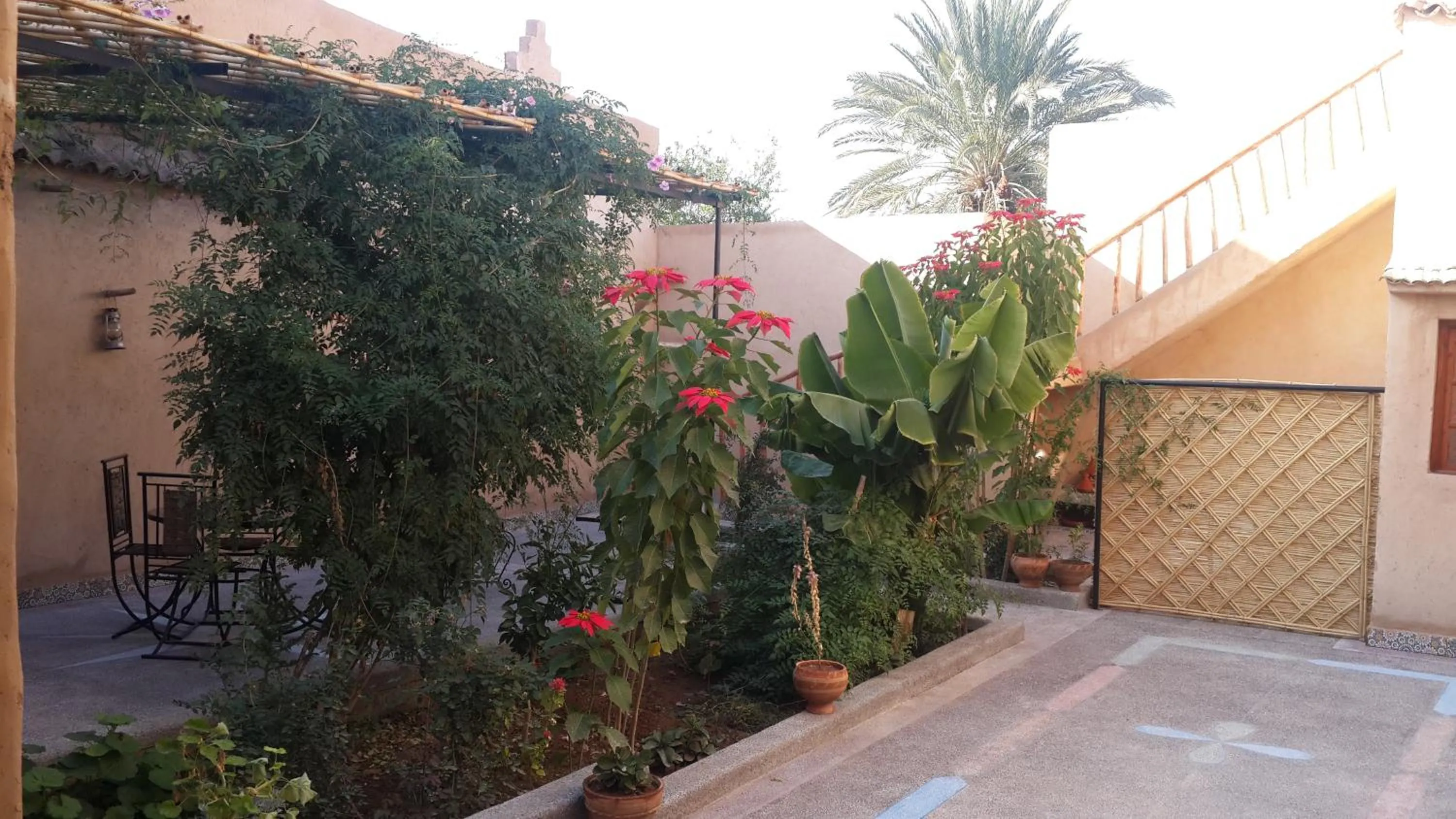Oasis de Tiout