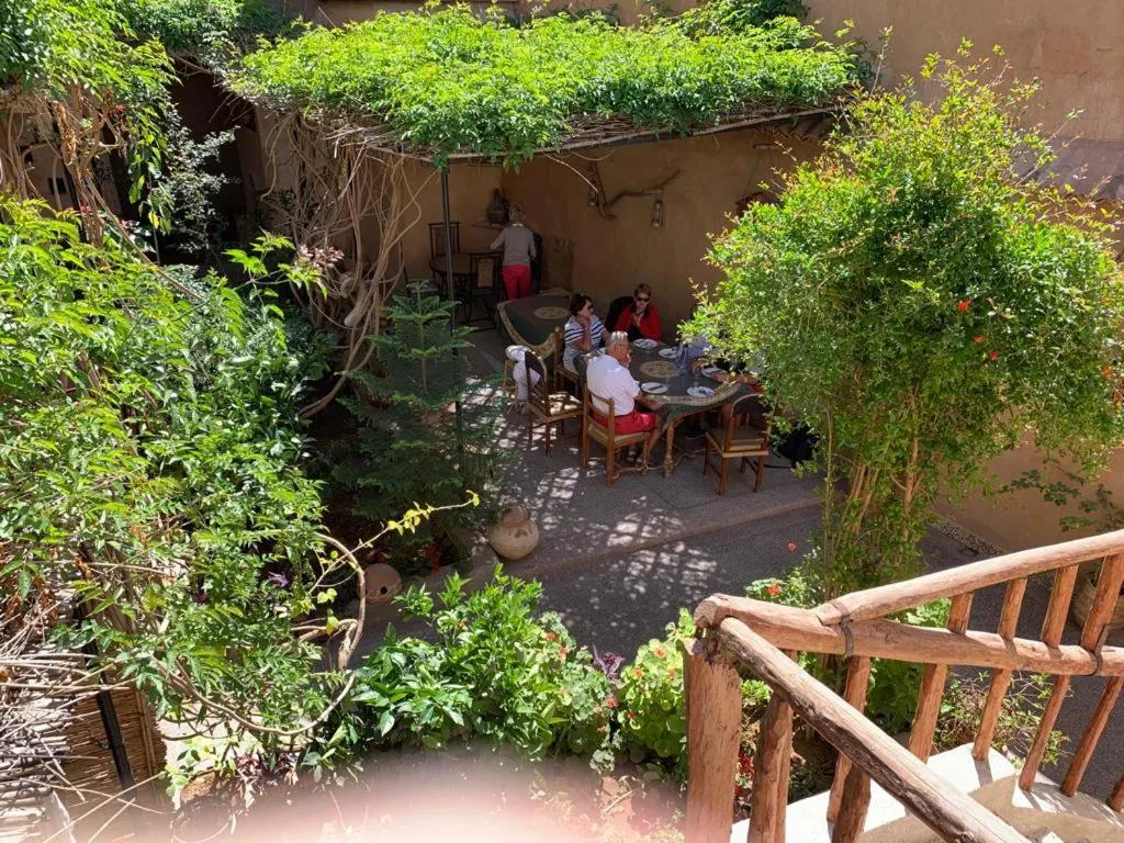 Oasis de Tiout