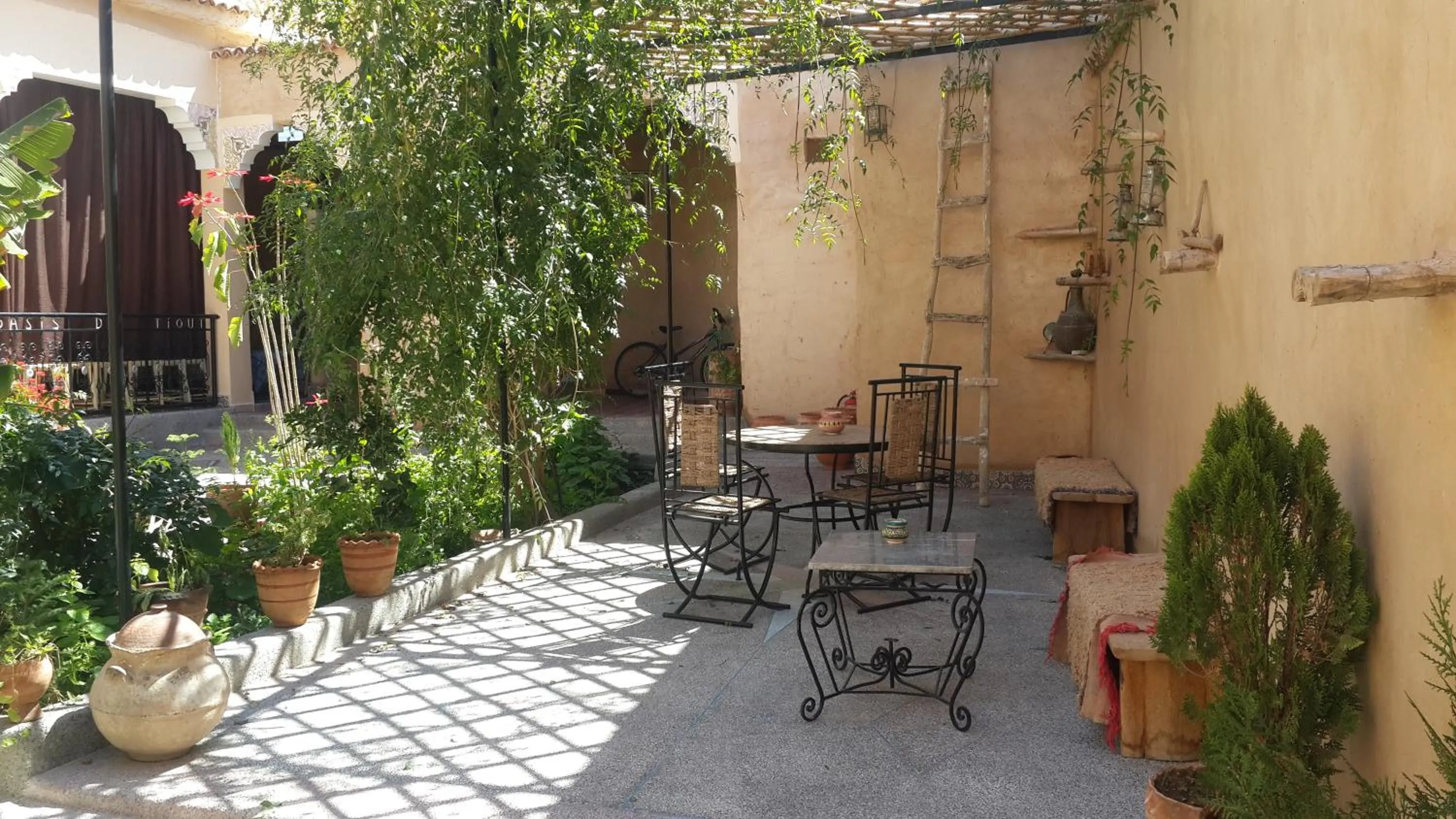 Oasis de Tiout