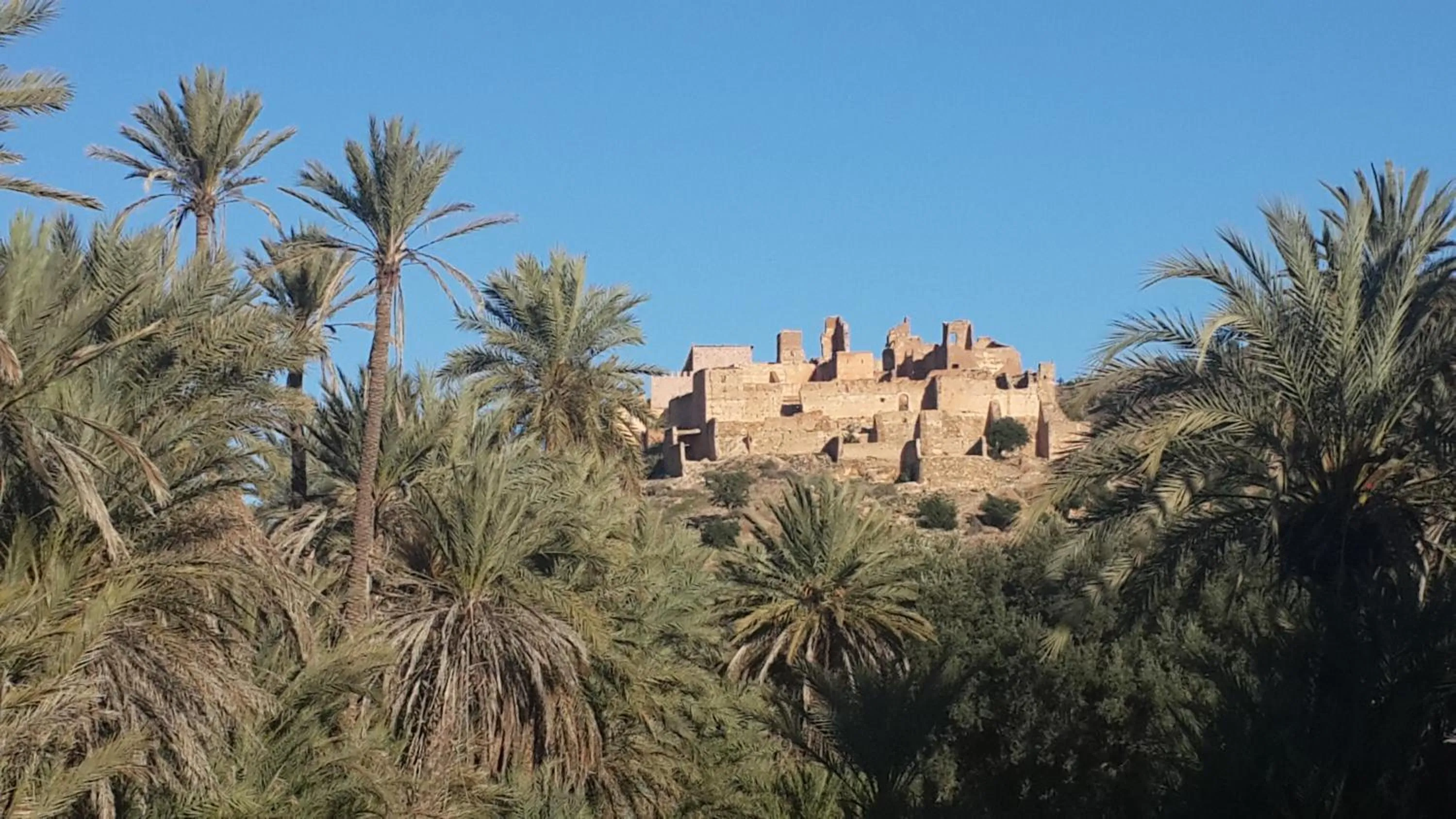 Oasis de Tiout