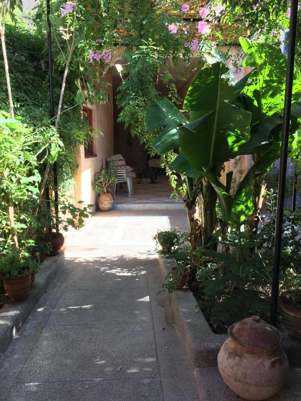 Oasis de Tiout
