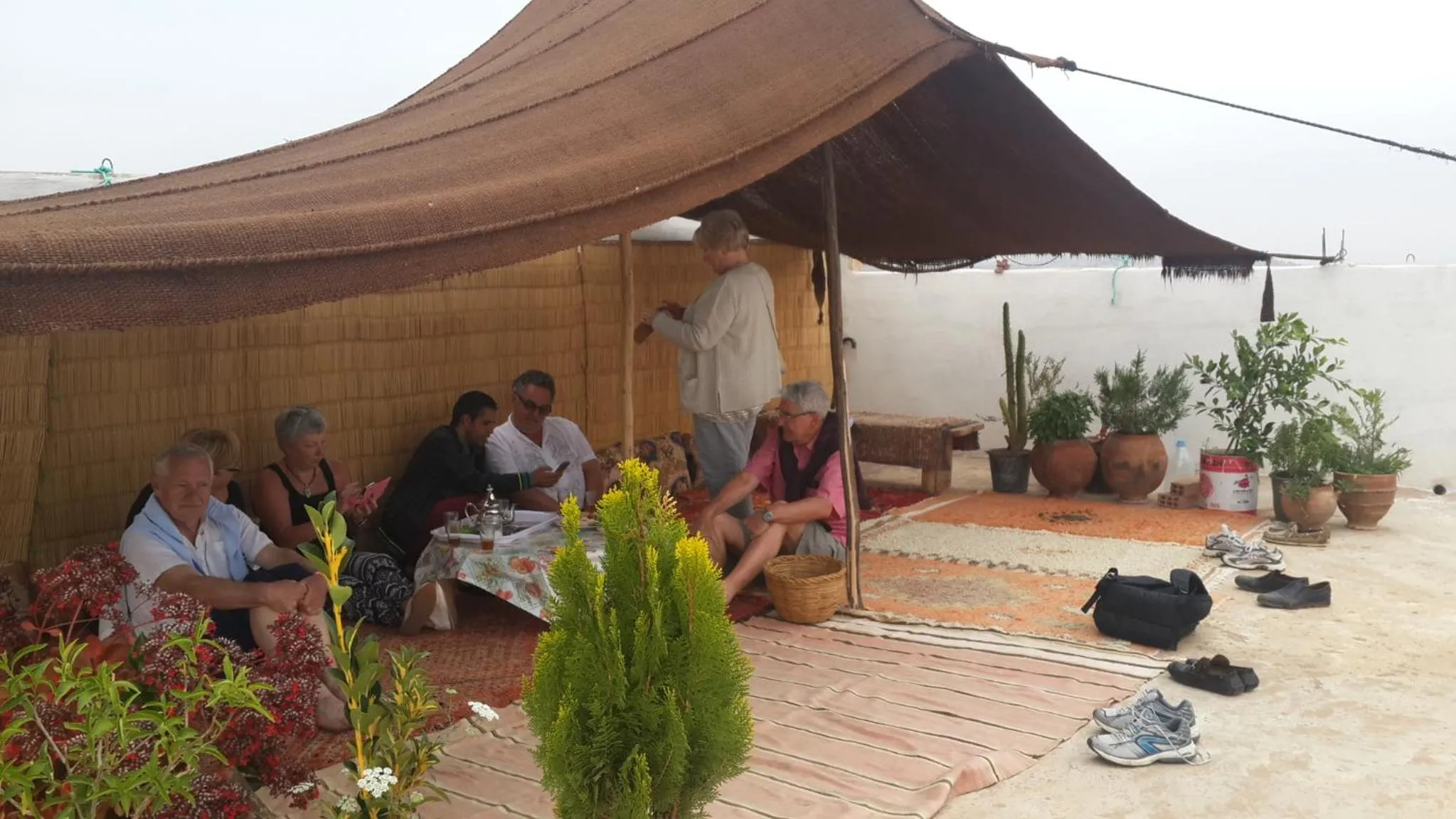 Oasis de Tiout