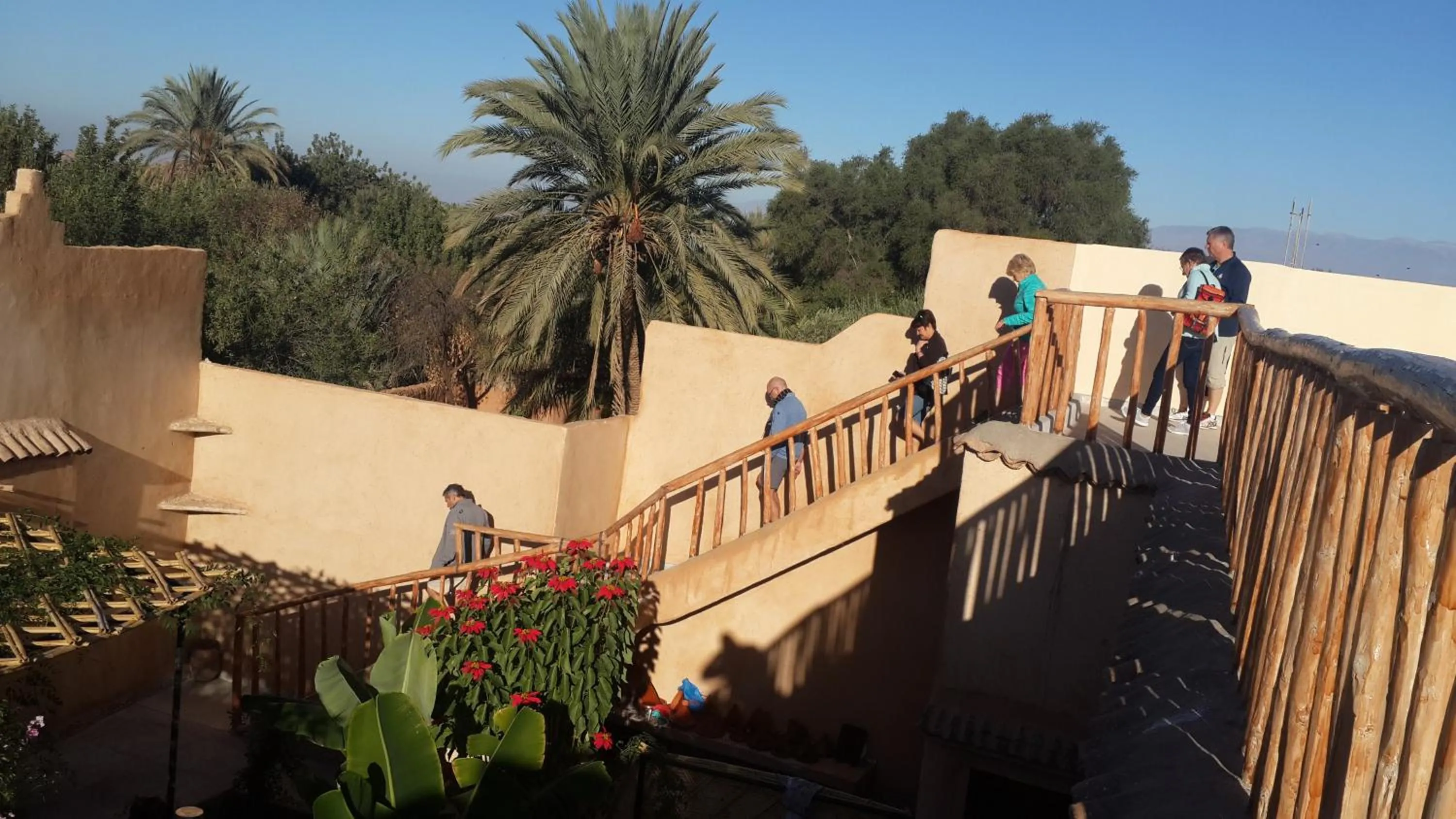 Oasis de Tiout