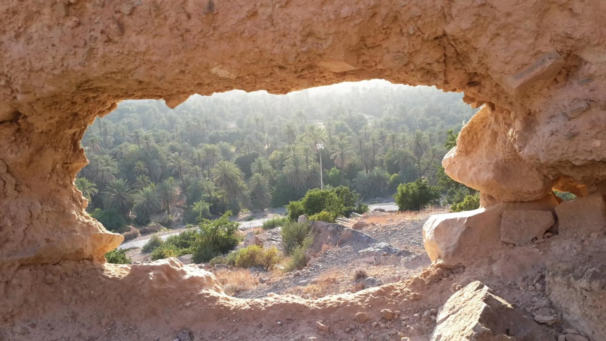 Oasis de Tiout