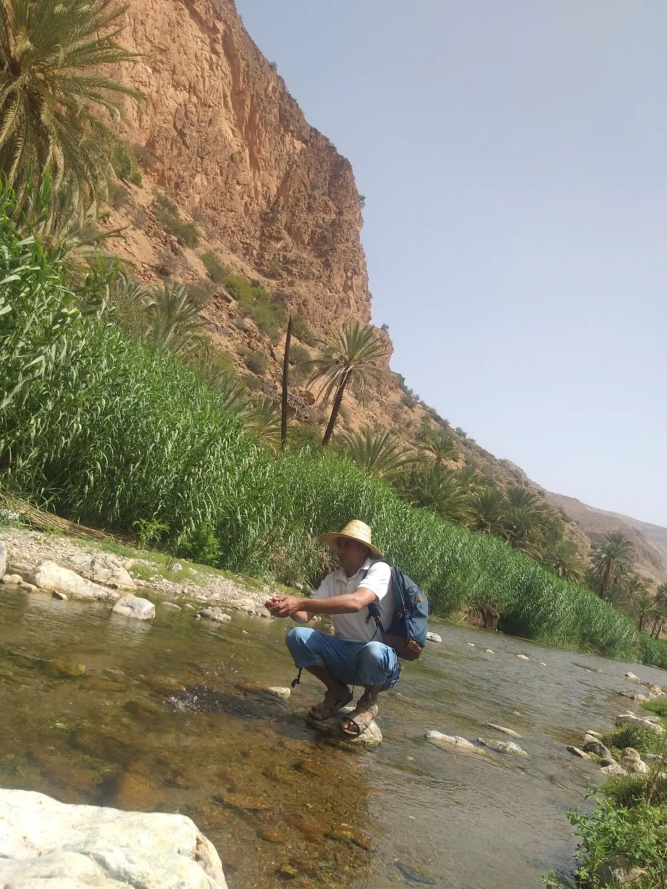Oasis de Tiout