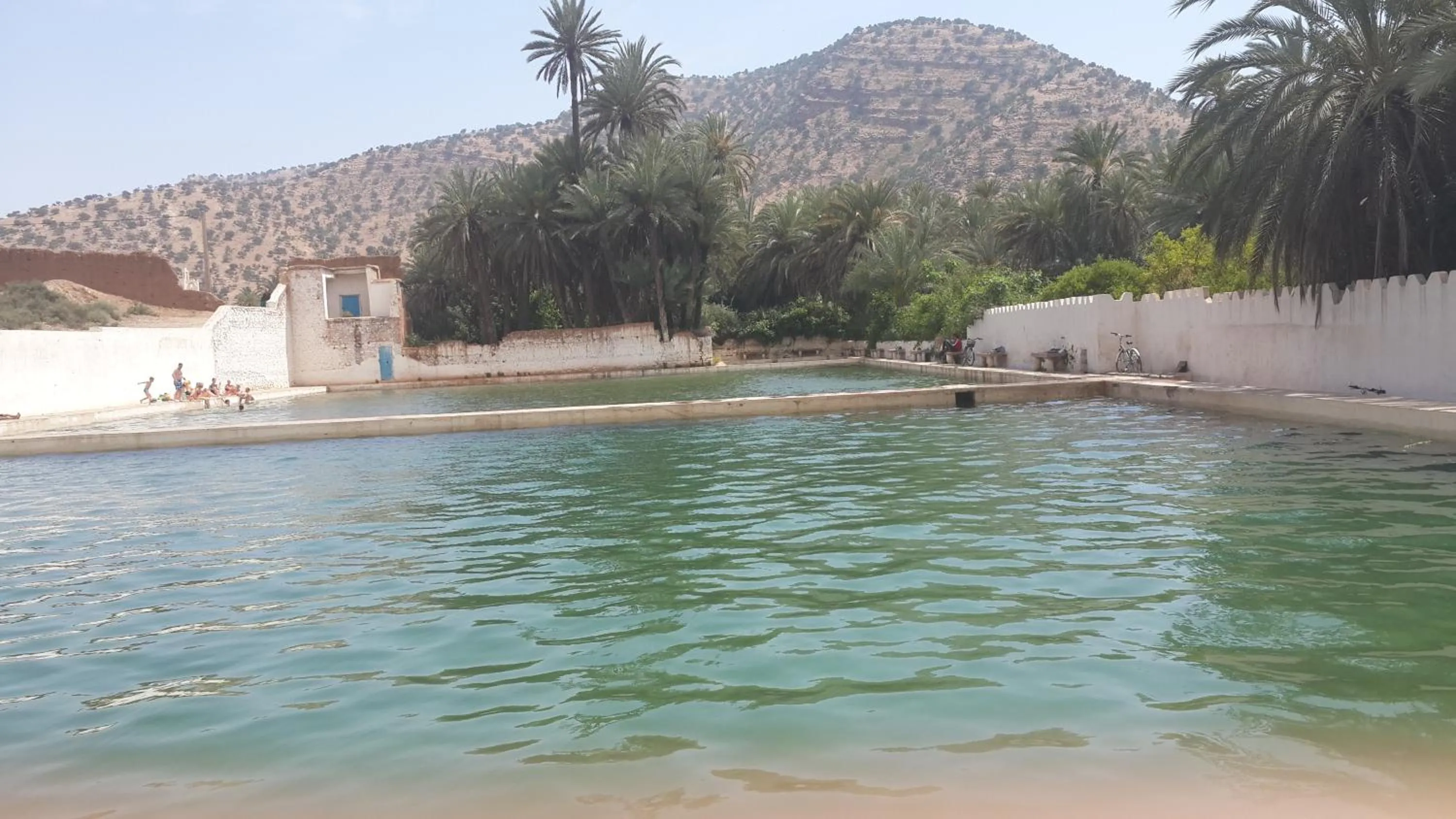 Oasis de Tiout