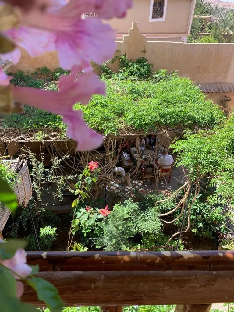 Oasis de Tiout