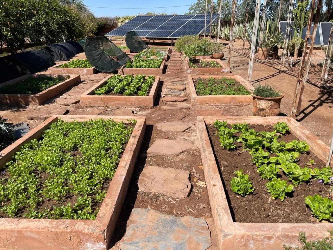 Garden in Maidan El Arsa