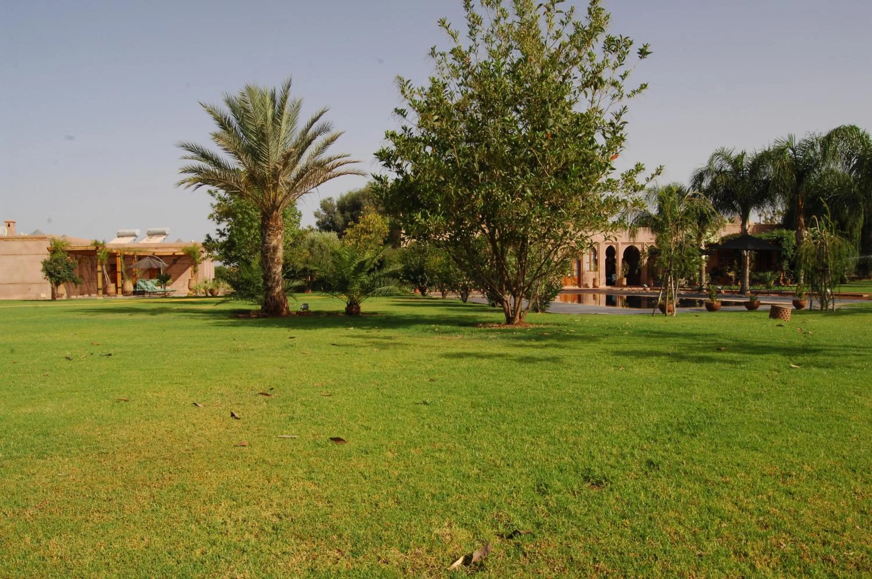 Garden in Maidan El Arsa