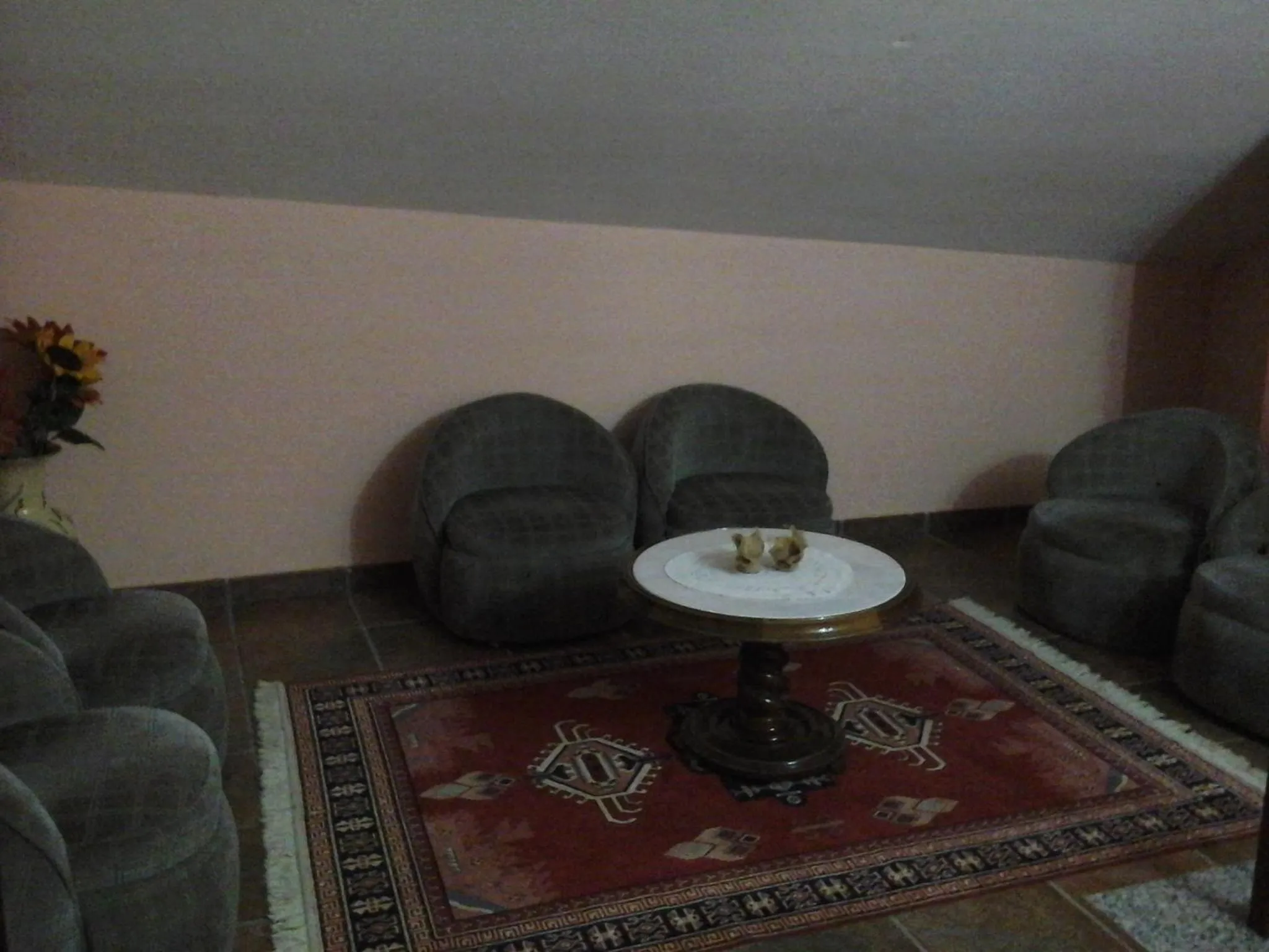 Communal lounge/ TV room in Hostal Piñera