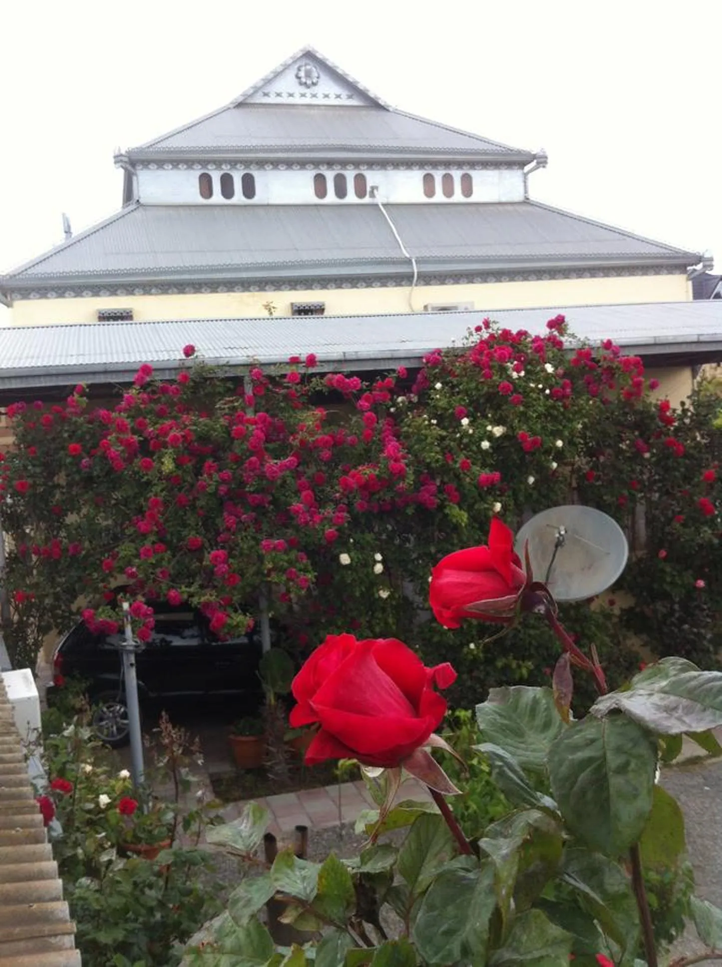 Property building in Hasanovs Villa