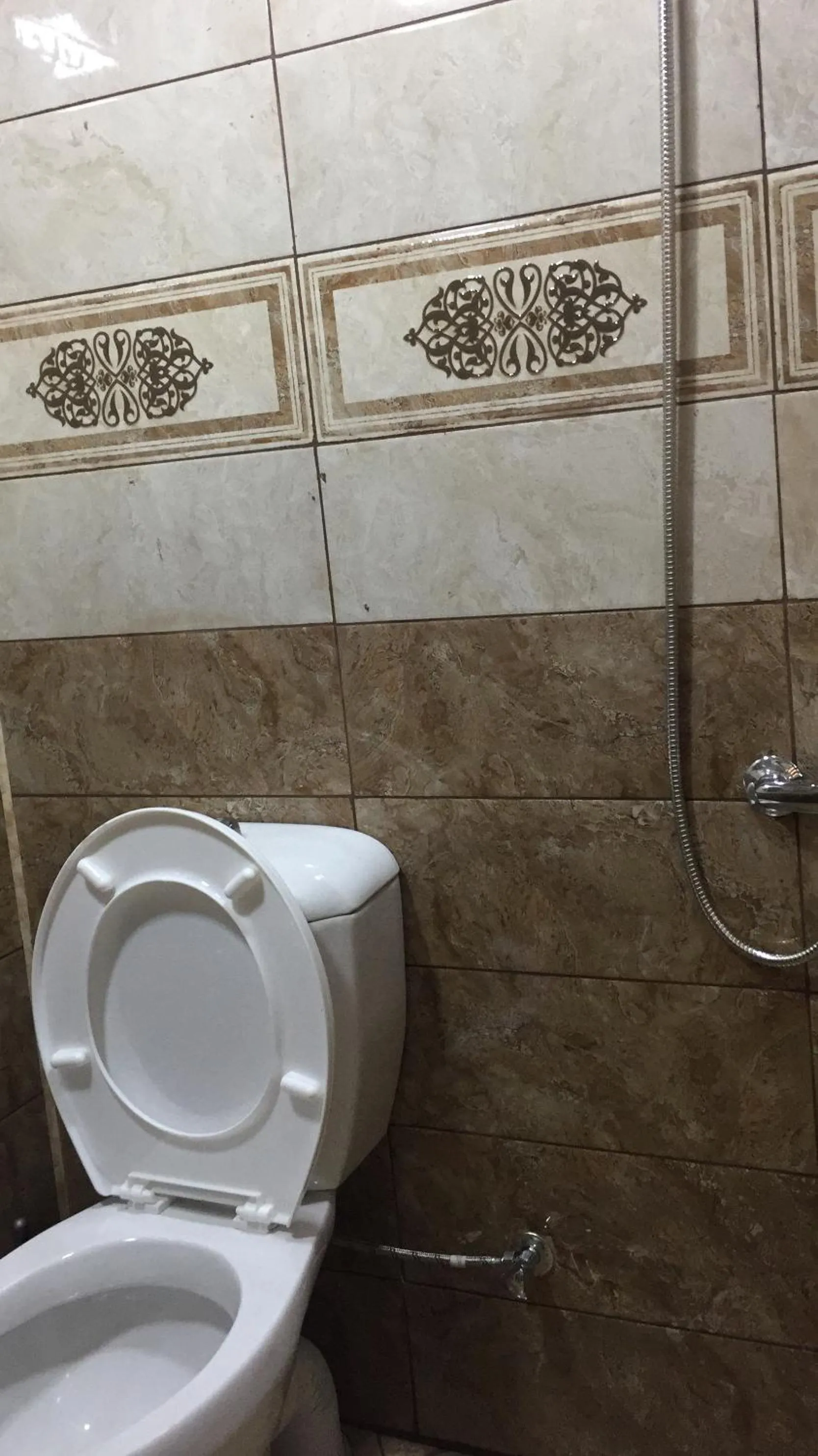 Toilet in Hasanovs Villa