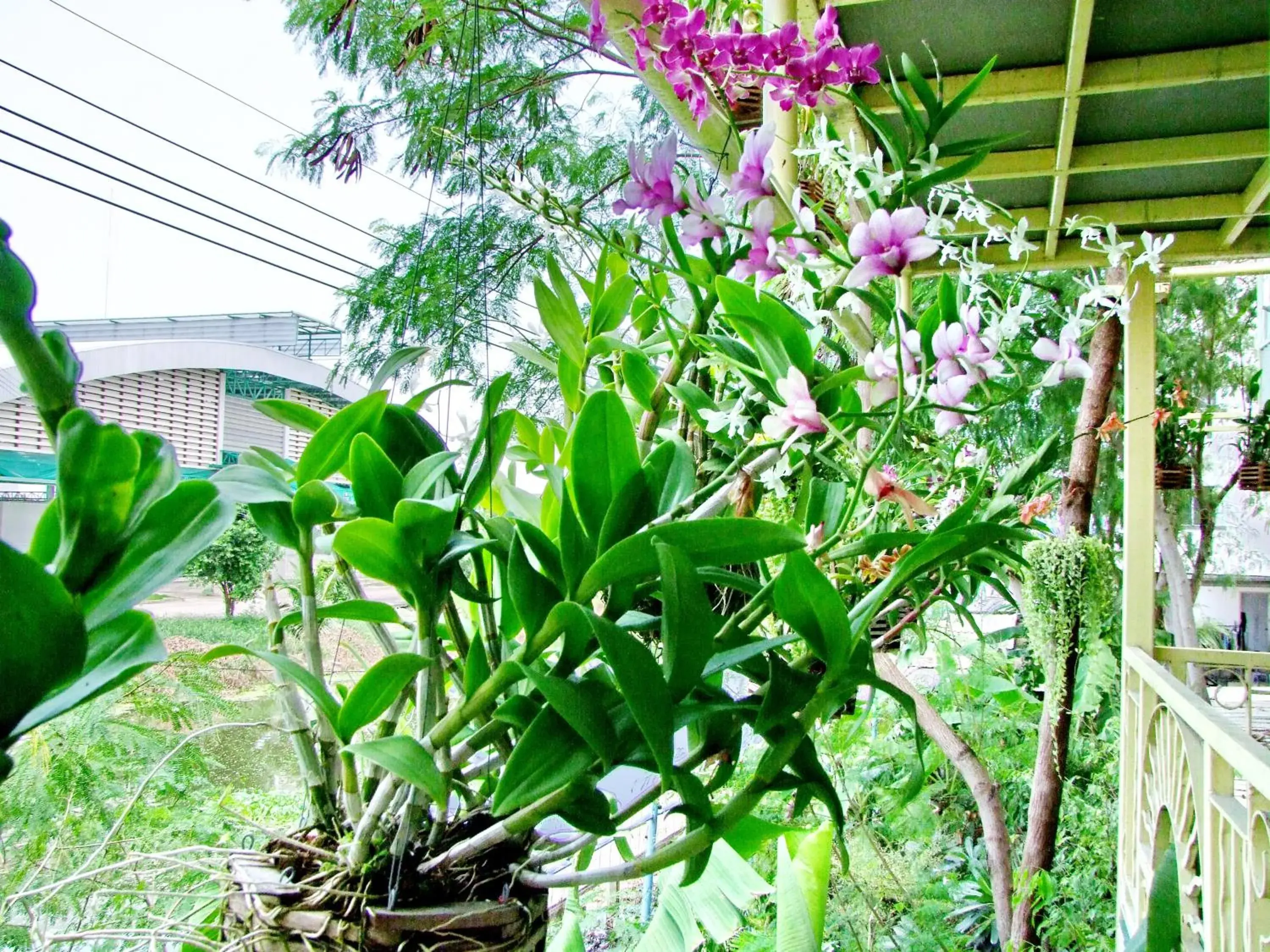 At Ease Hotel Suvarnabhumi At Ease Hotel Suvarnabhumi