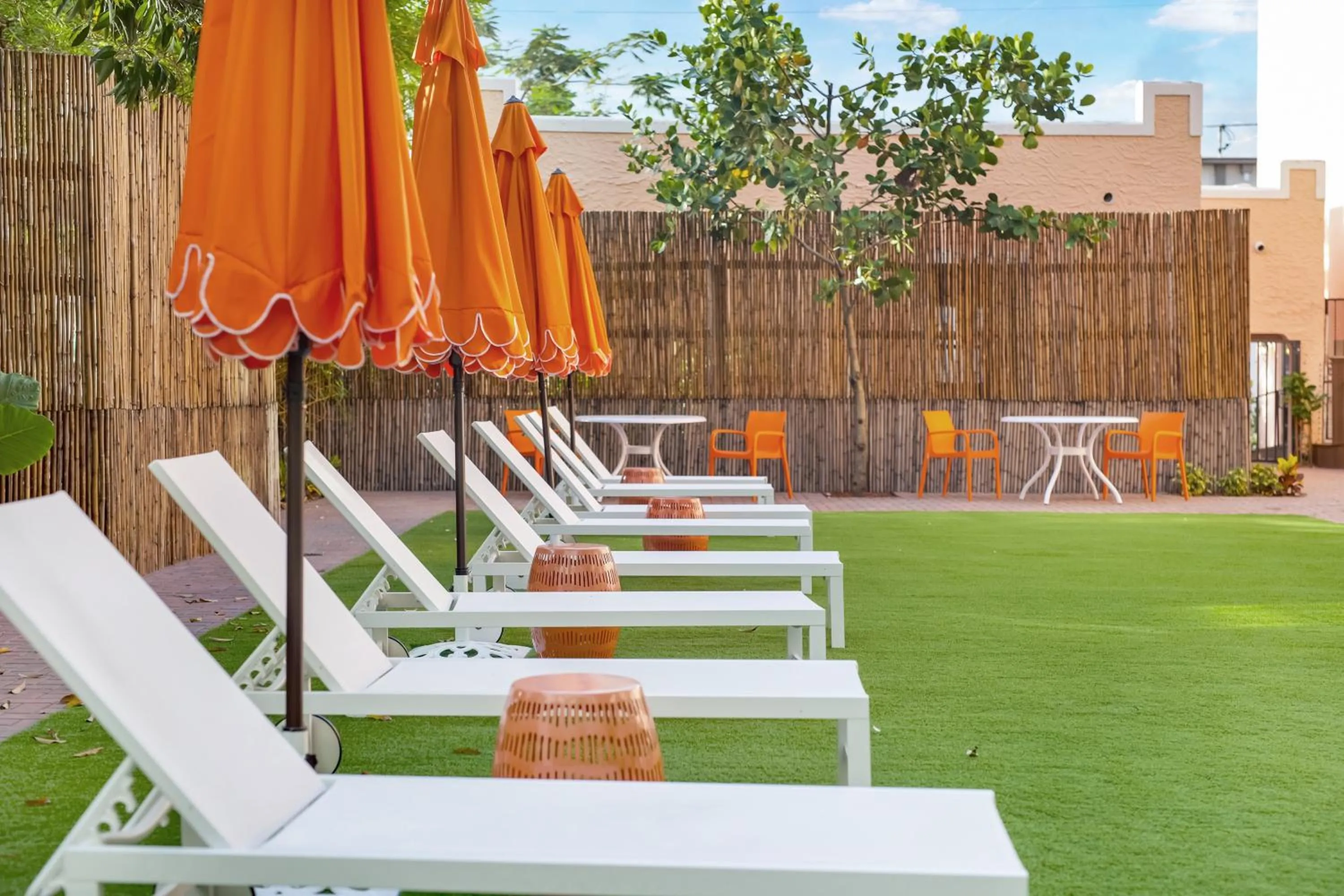 Garden in Tower Hotel Little Havana