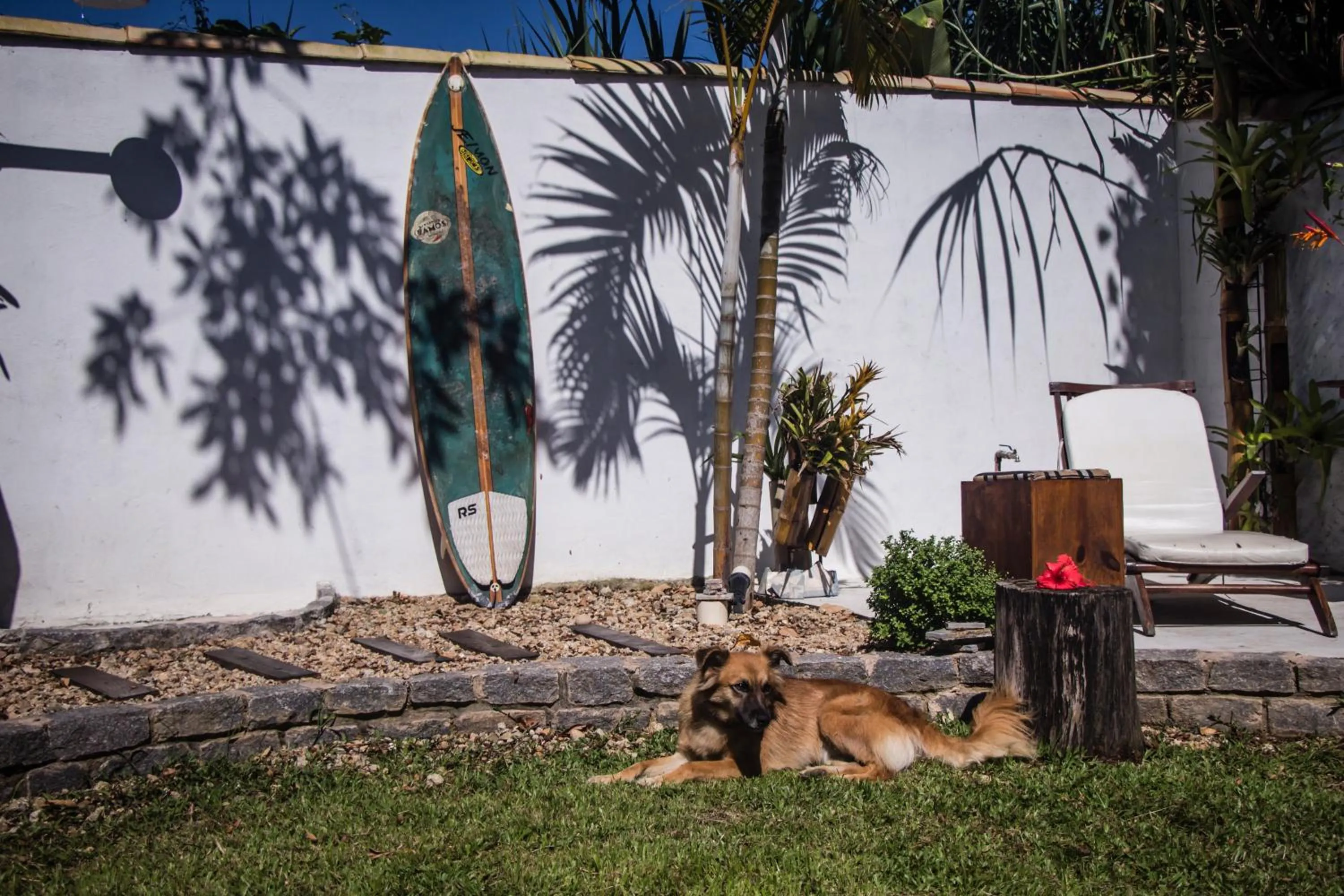 Garden in Planeta Banana Paraty