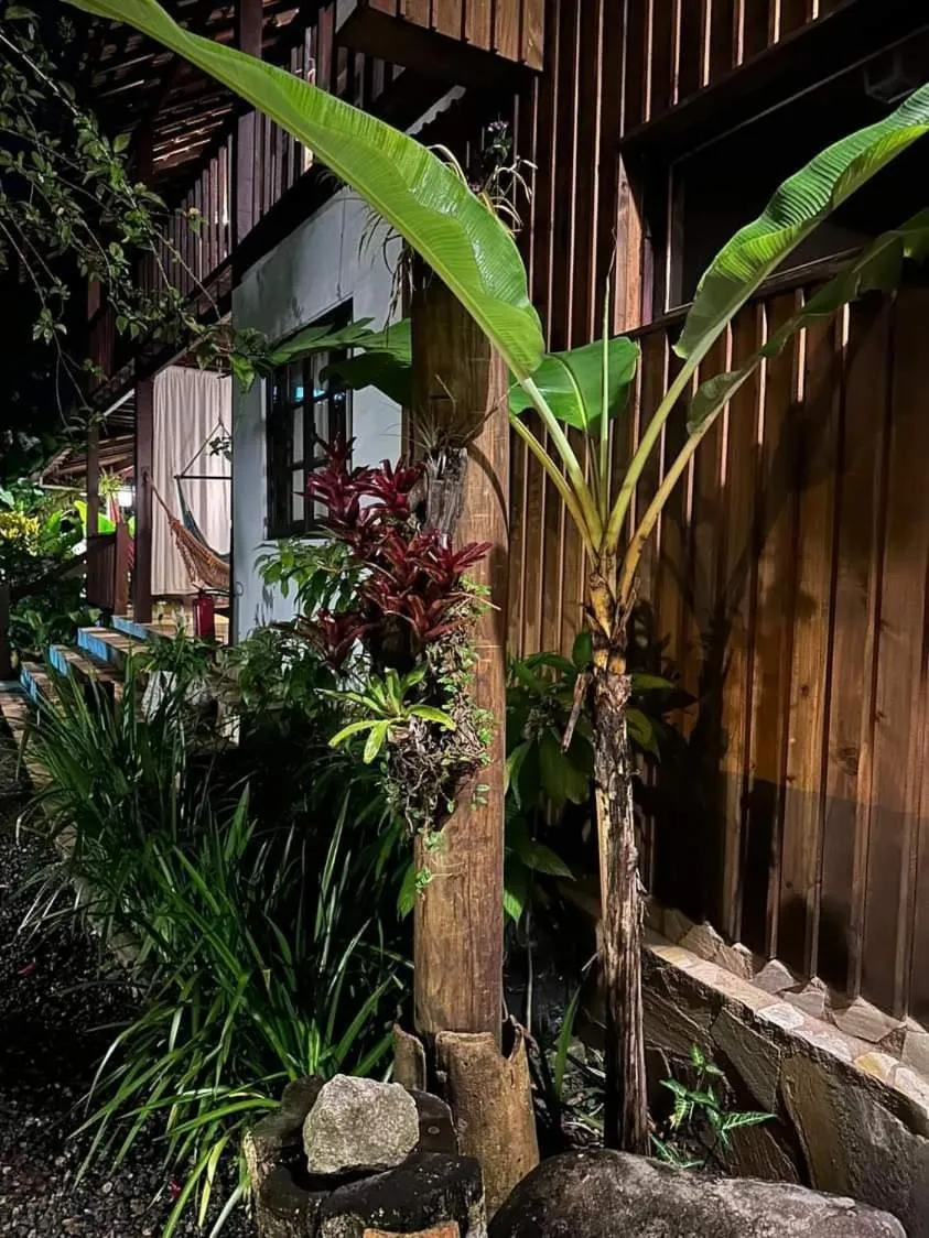 Garden in Planeta Banana Paraty