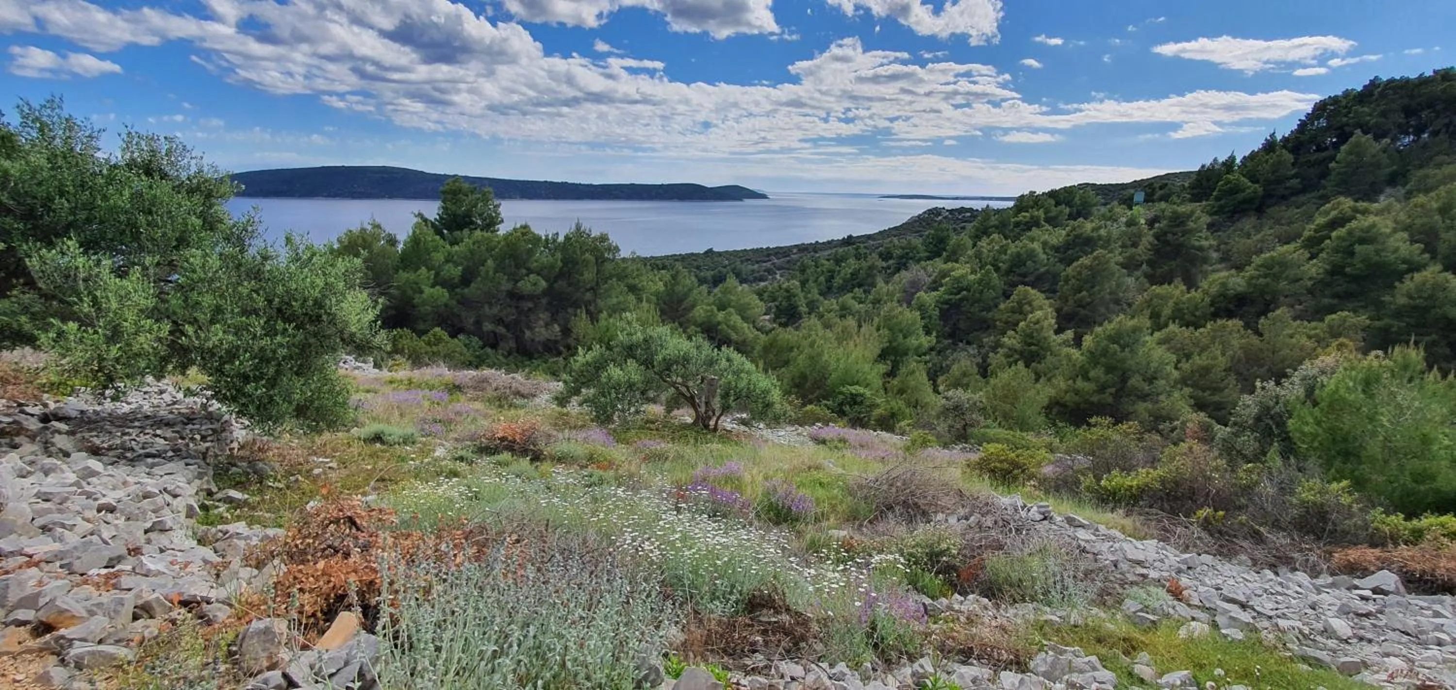 Hiking in Apartments Anka