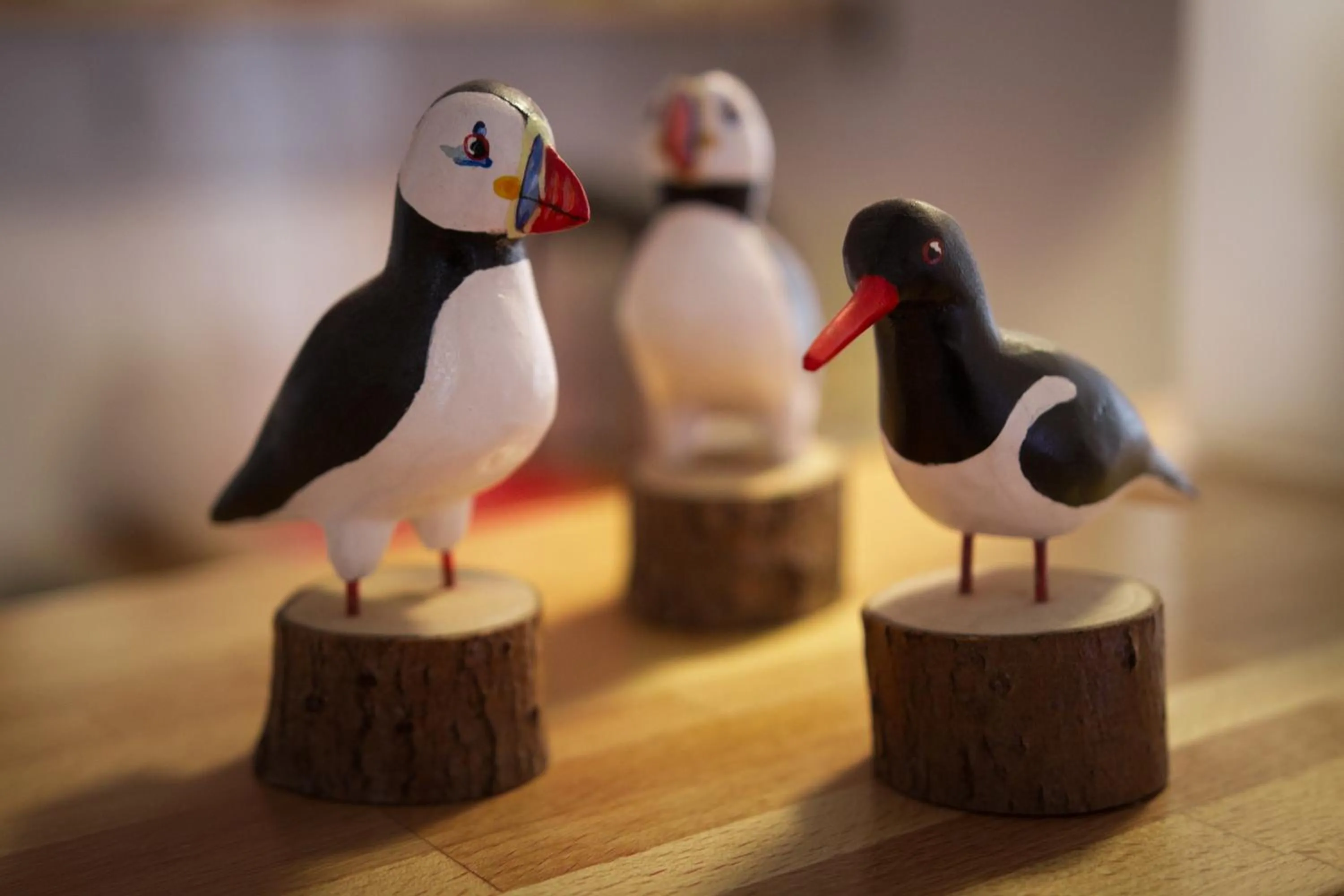 Spring in Finna Hótel